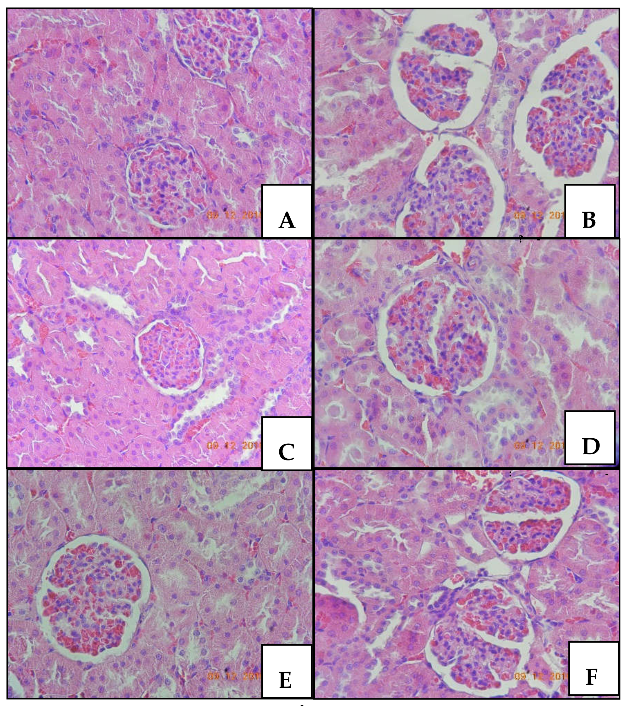 Toxins 10 00531 g002