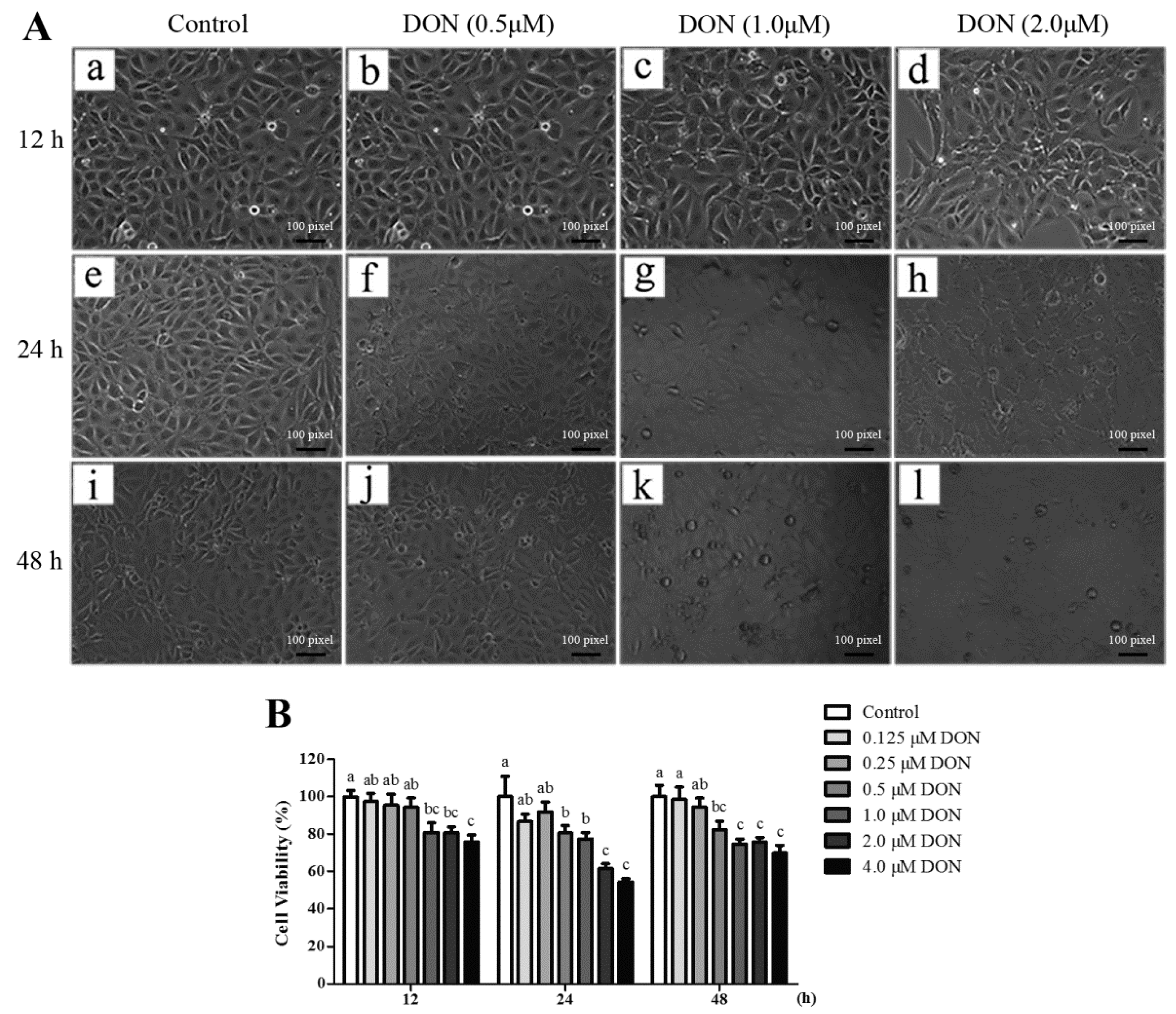 Toxins 10 00541 g006 Toxins 10 00541 g006