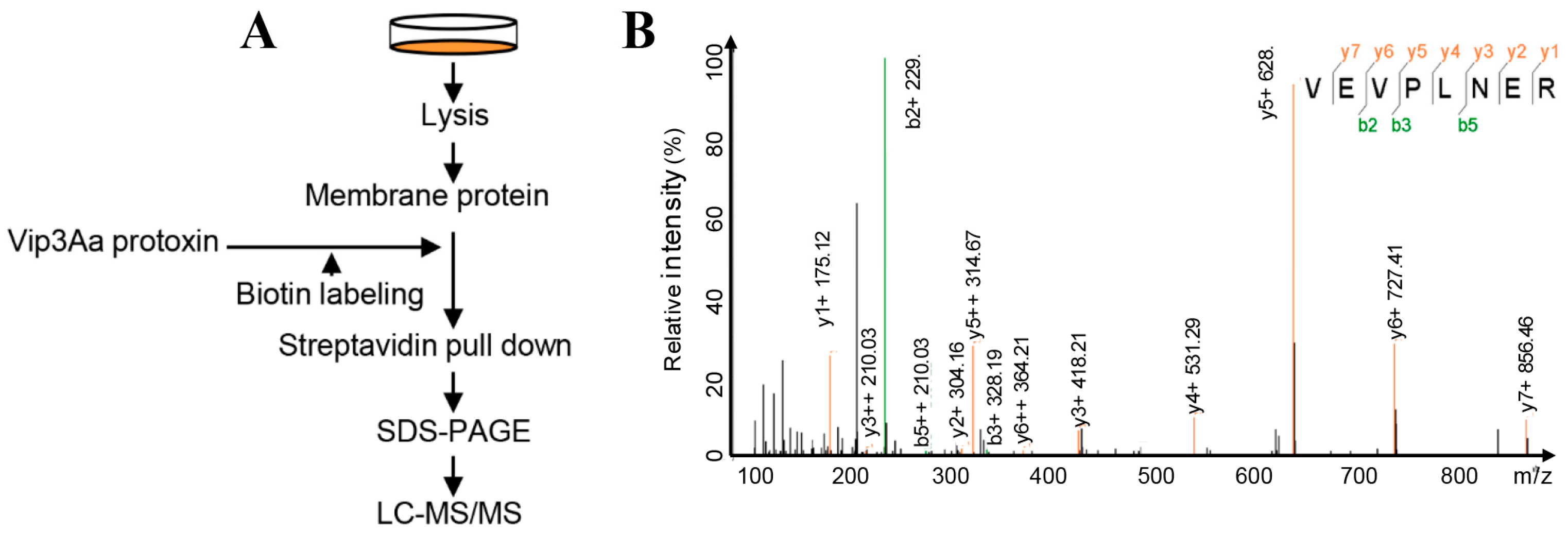 Toxins 10 00546 g001 Toxins 10 00546 g001