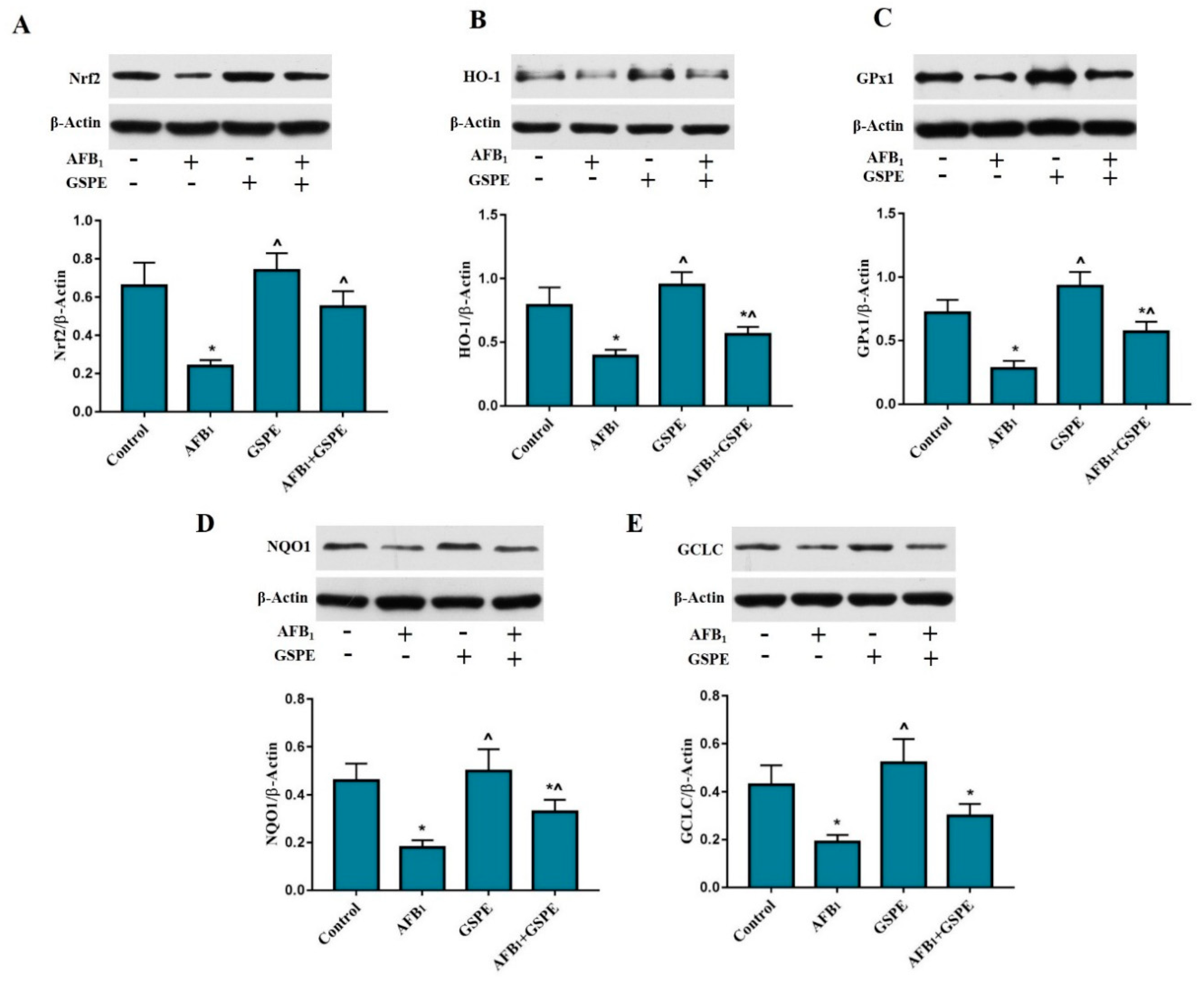Toxins 11 00023 g005 Toxins 11 00023 g005