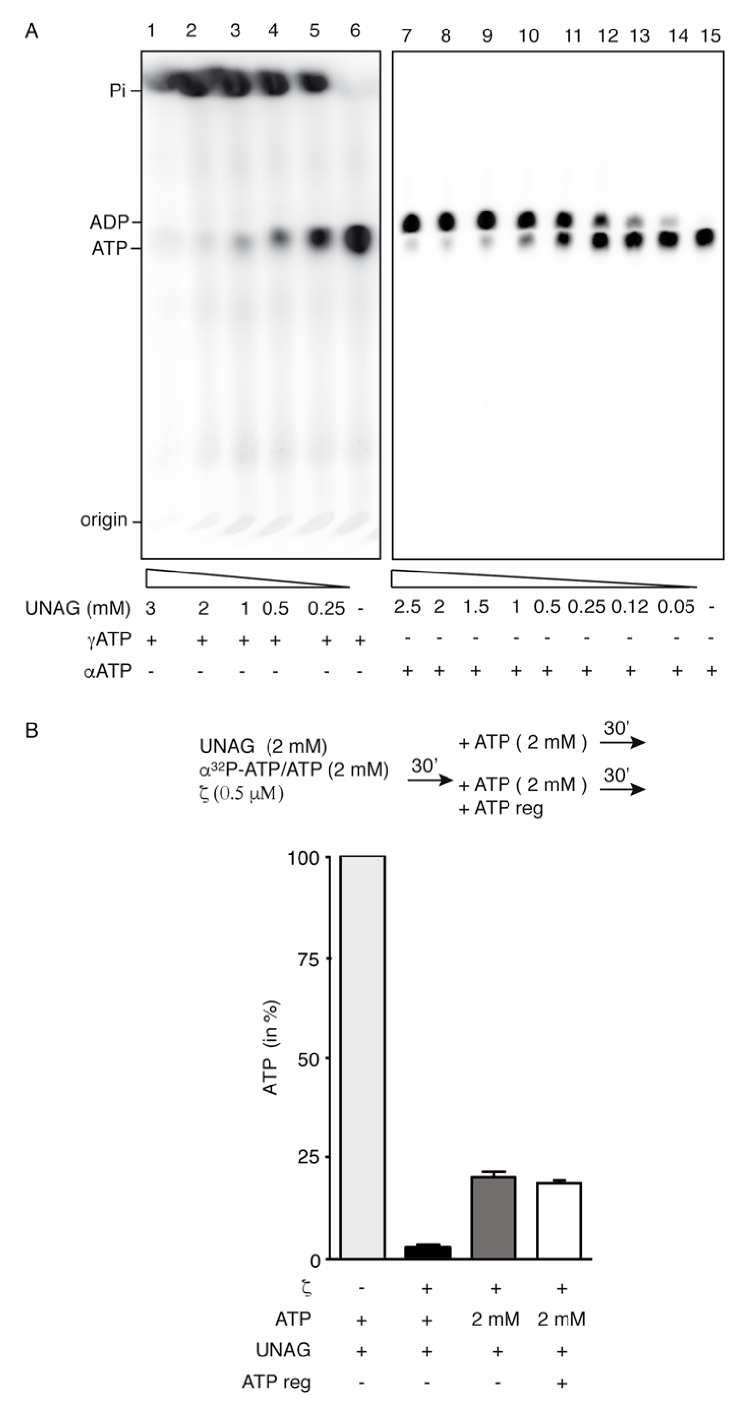Toxins 11 00029 g002