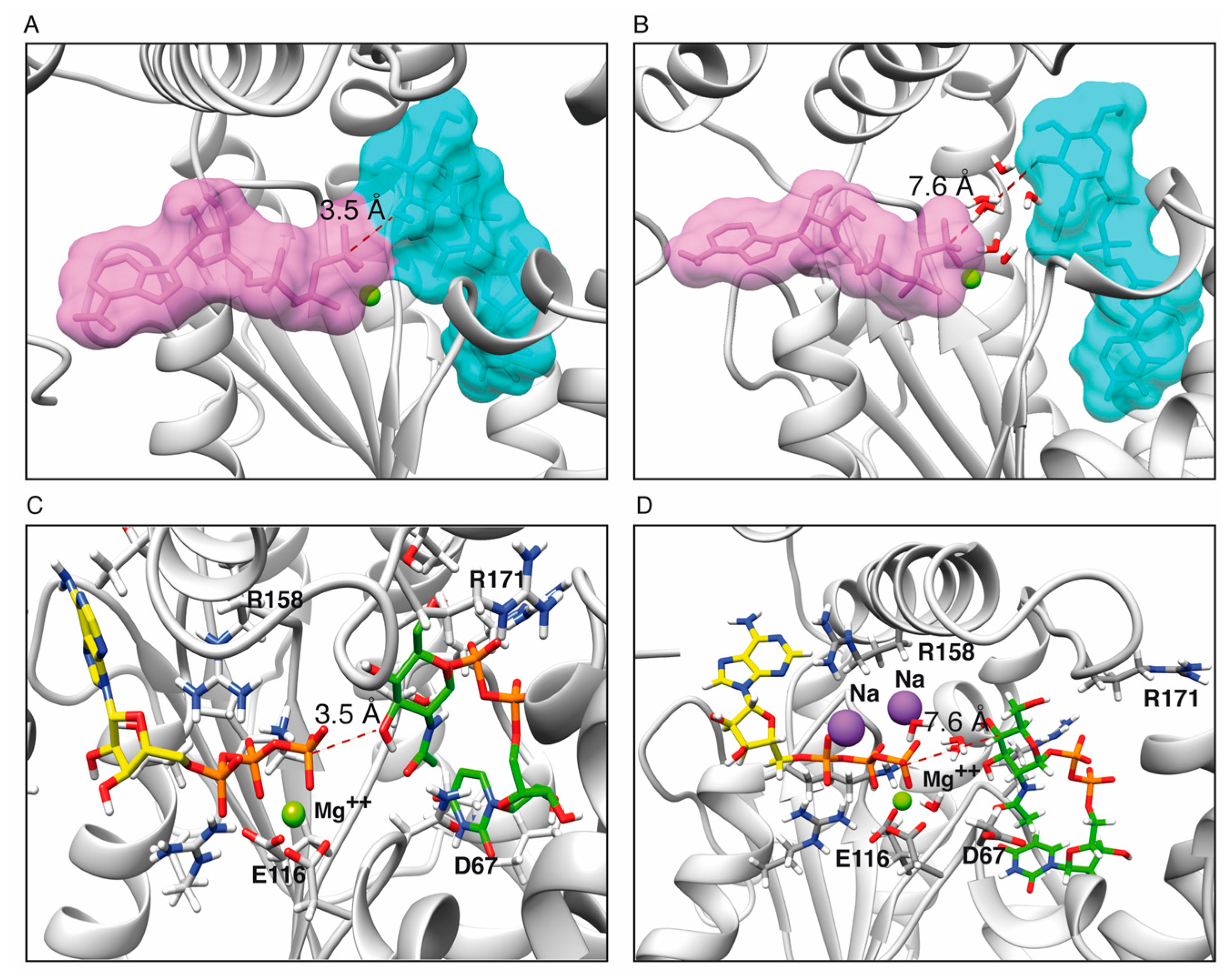 Toxins 11 00029 g006