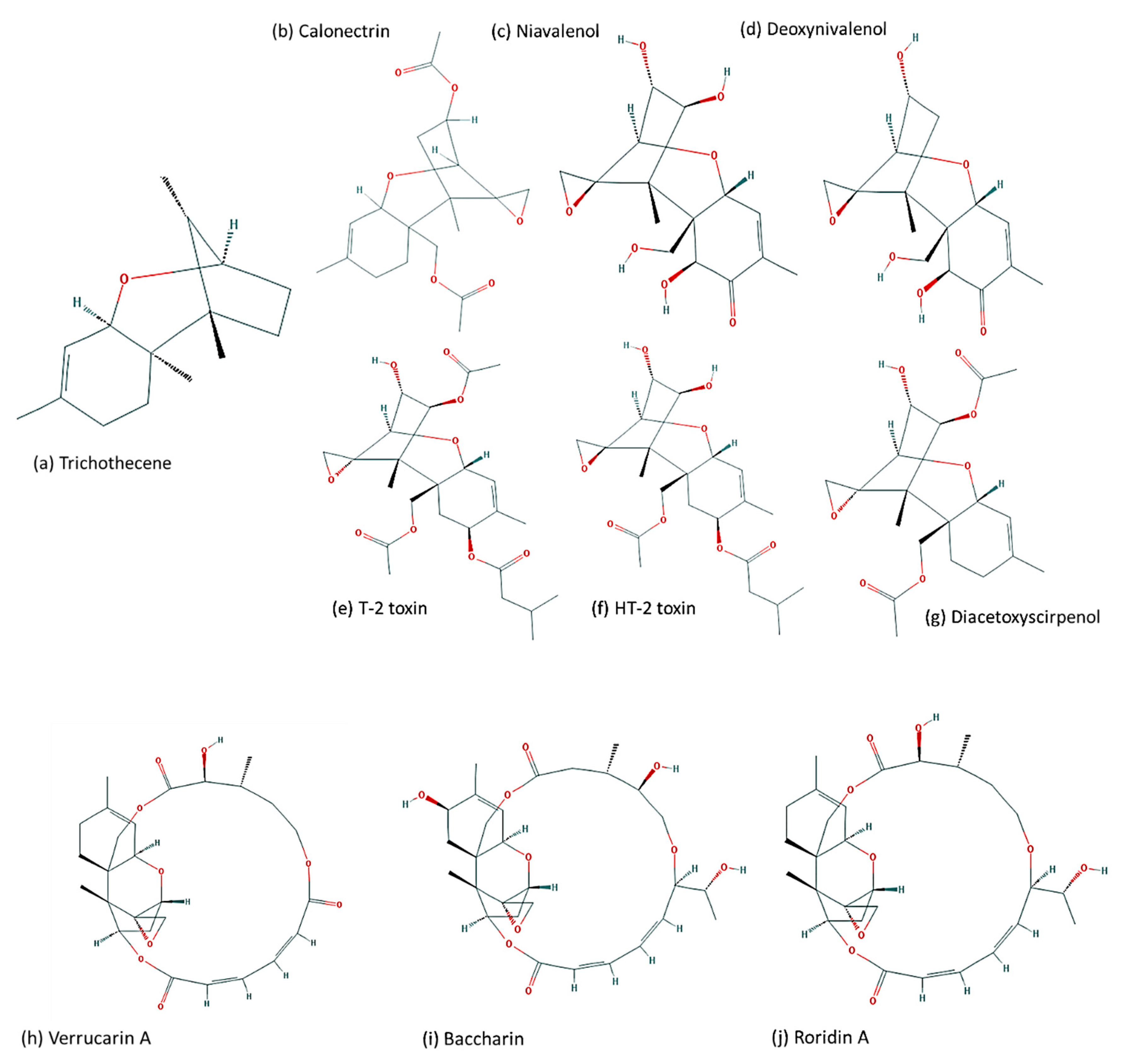 Toxins Free Full Text Selection Of Fusarium Trichothecene Toxin Genes For Molecular Detection Depends On Tri Gene Cluster Organization And Gene Function Html