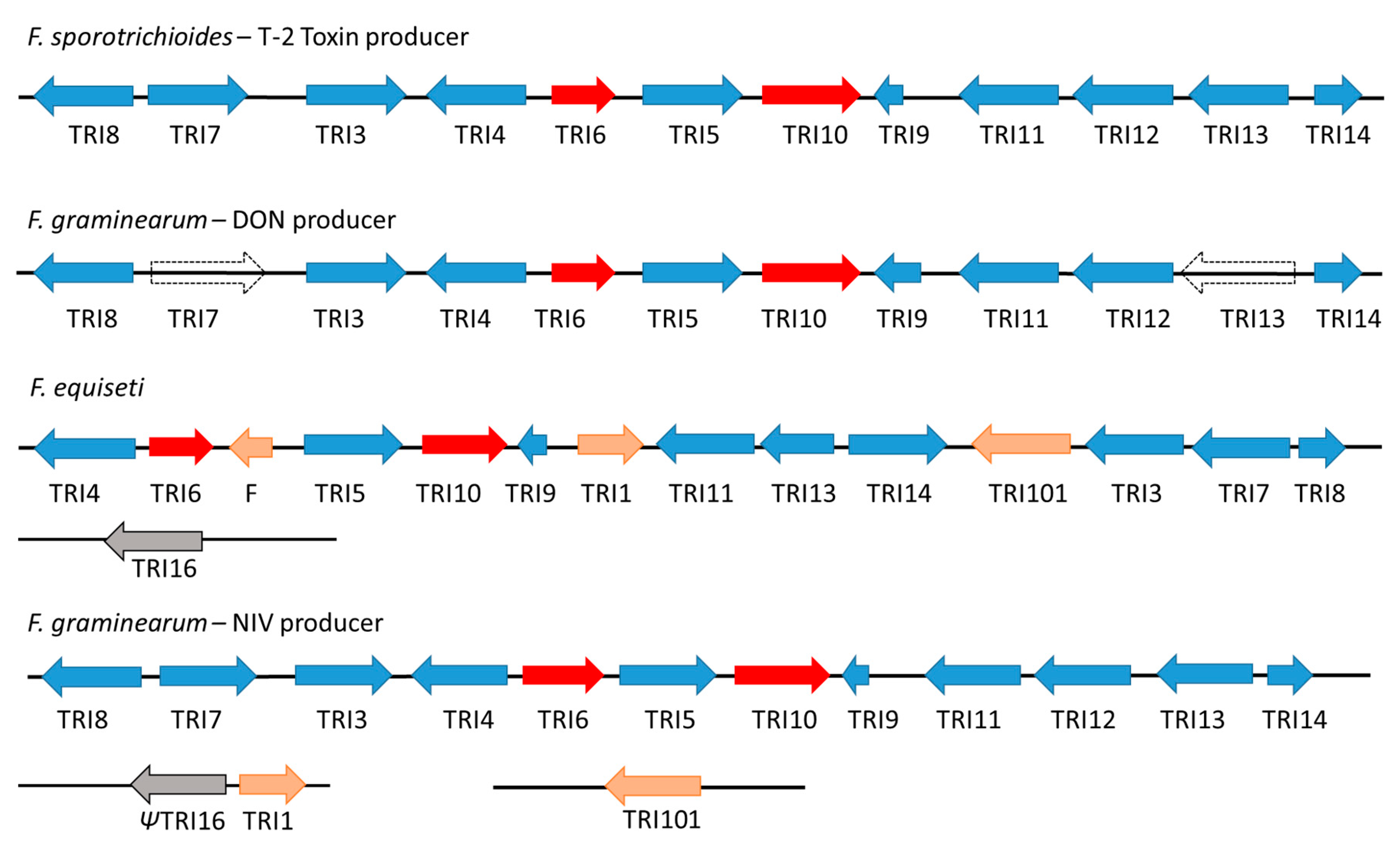 Toxins 11 00036 g002