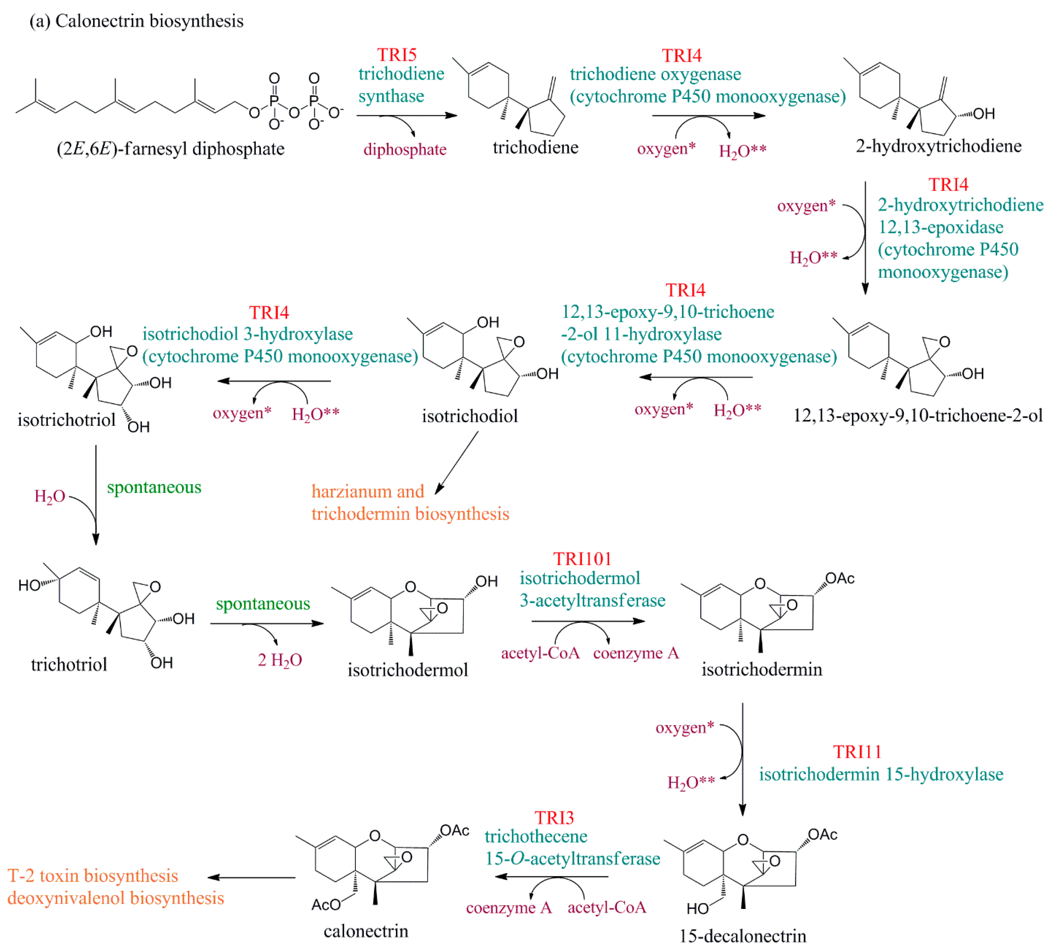 Toxins 11 00036 g003a
