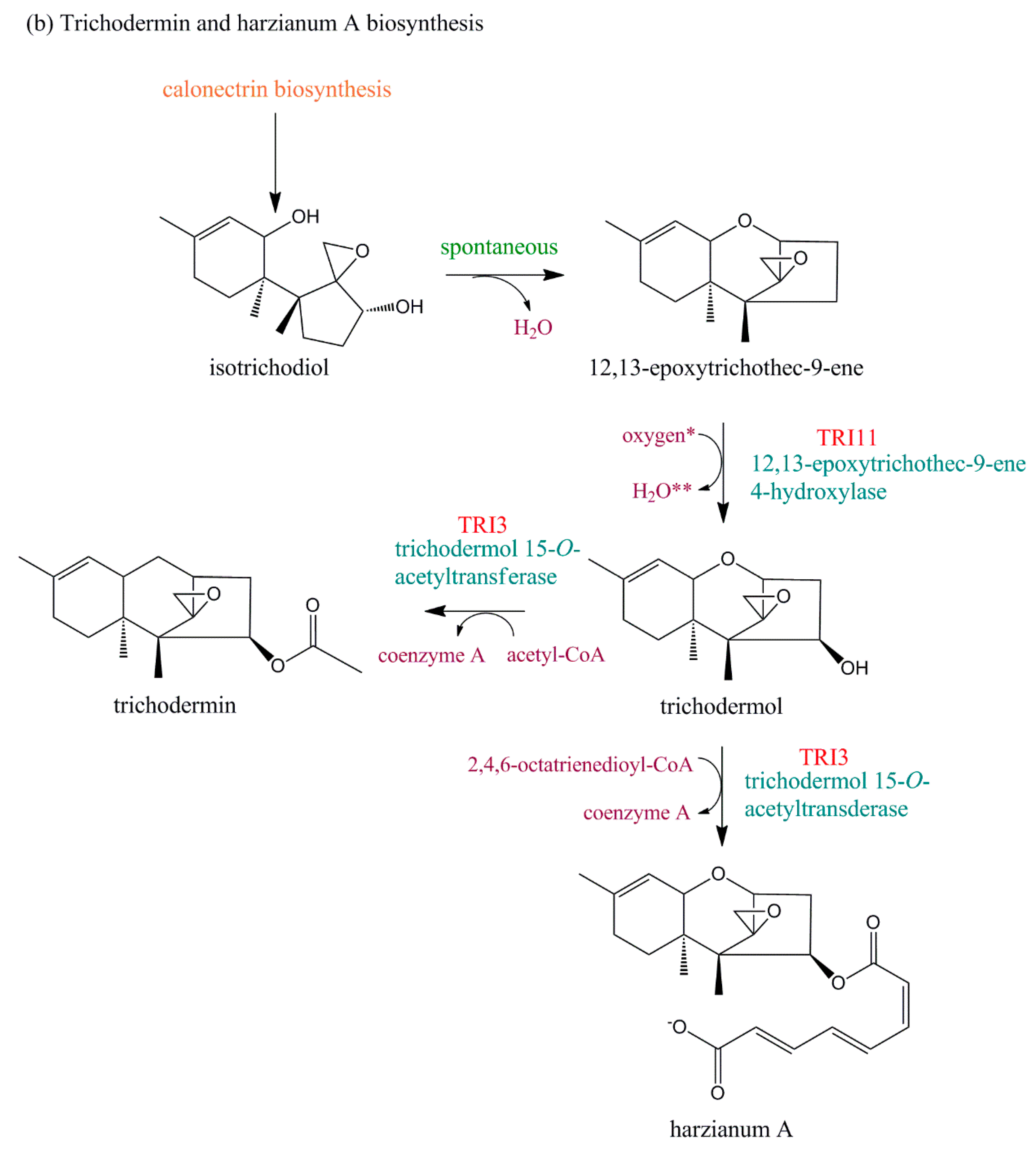 Toxins 11 00036 g003b