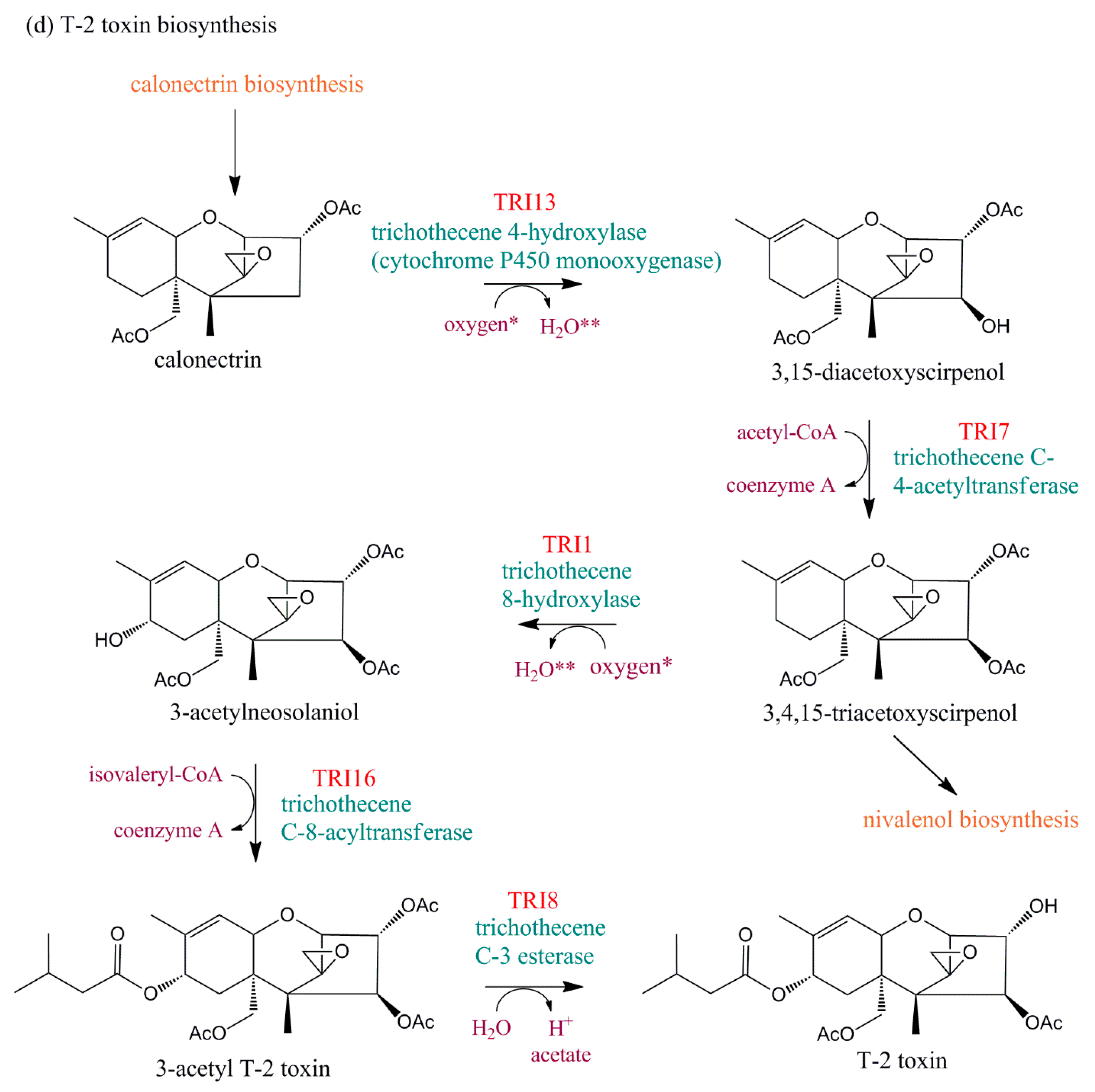 Toxins 11 00036 g003d