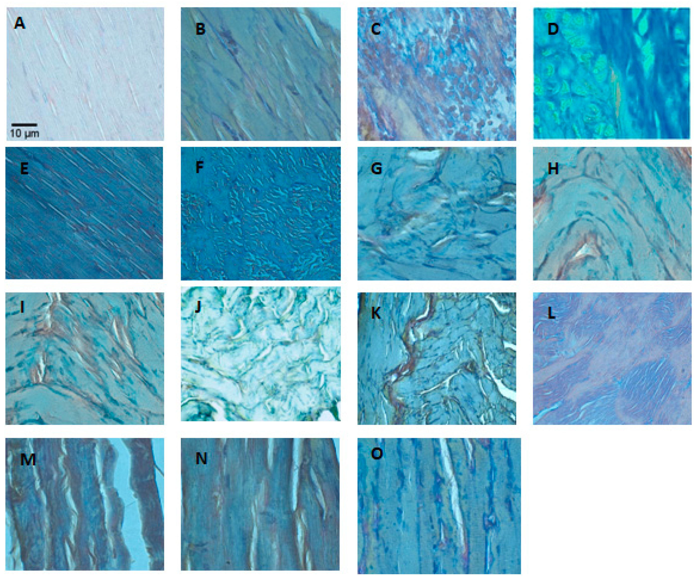 Toxins 11 00040 g005