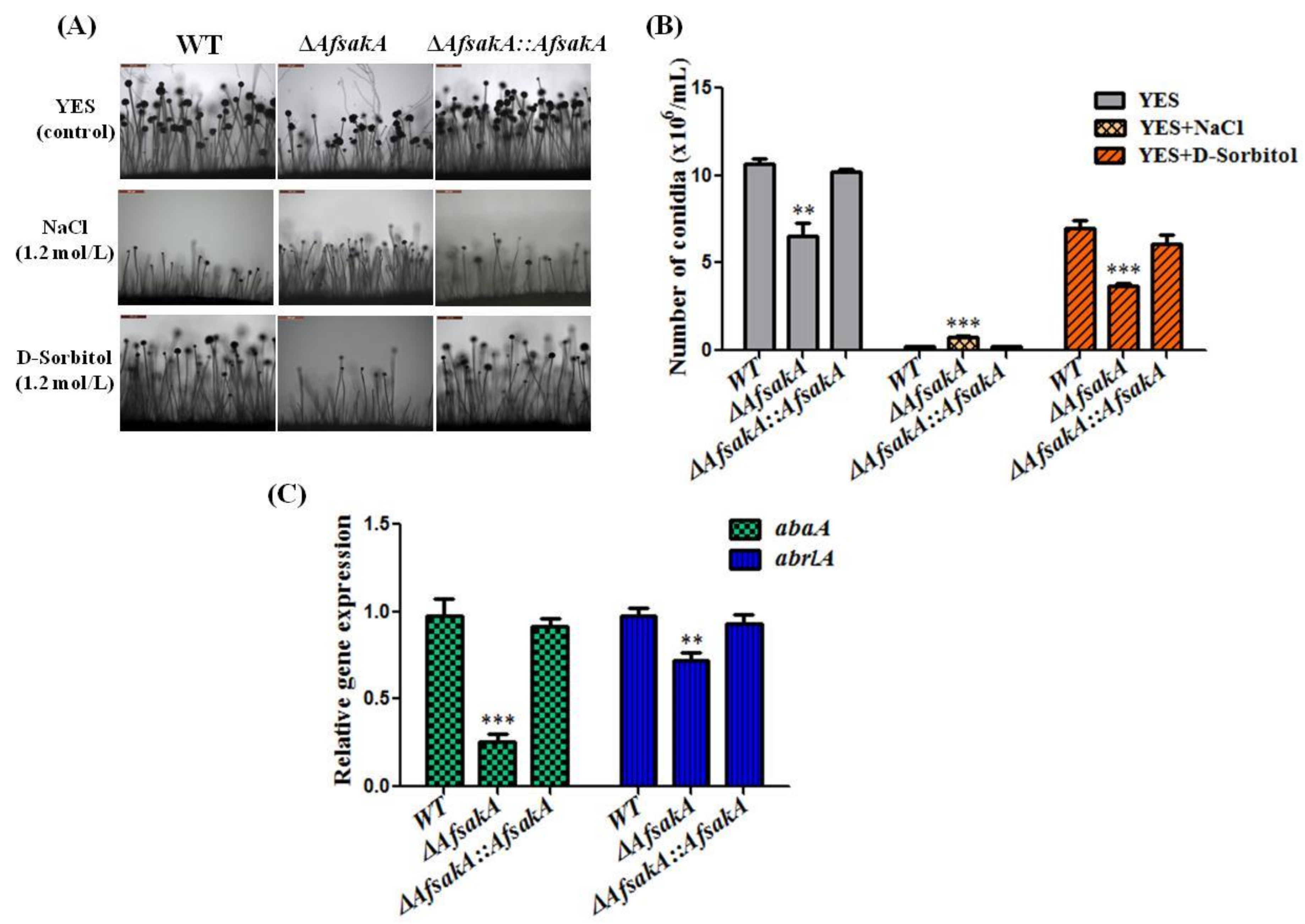 Toxins 11 00041 g004