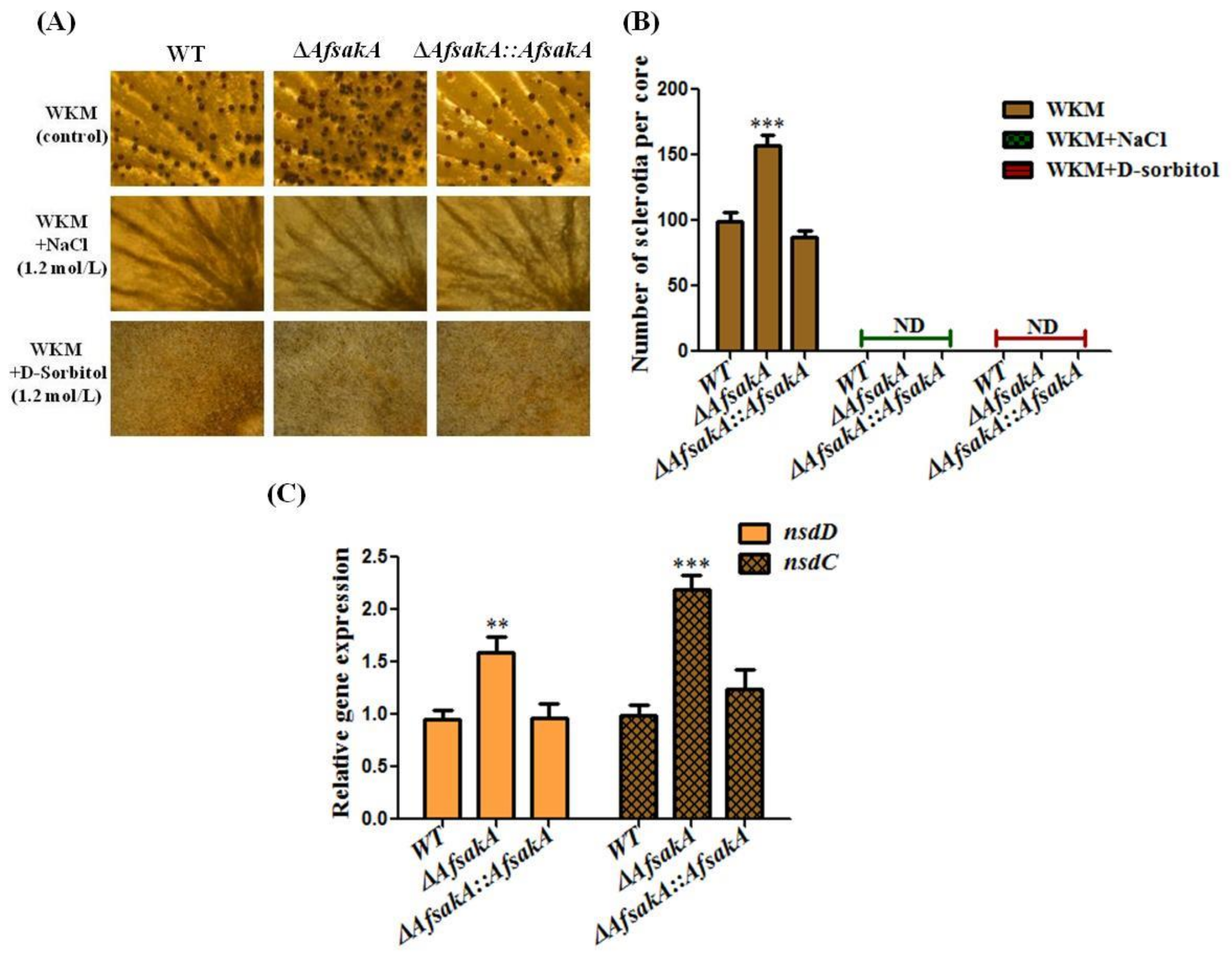 Toxins 11 00041 g005