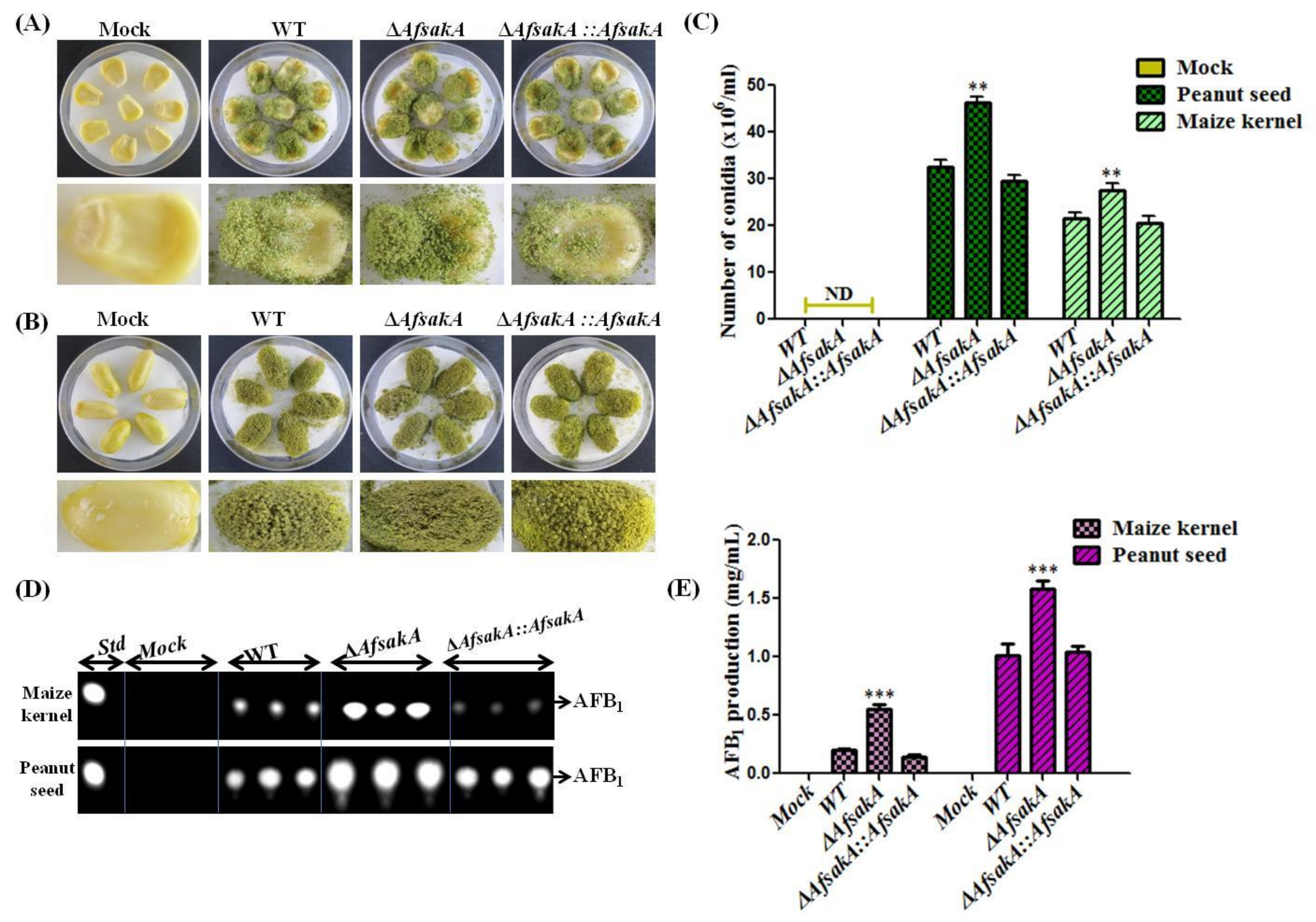 Toxins 11 00041 g007