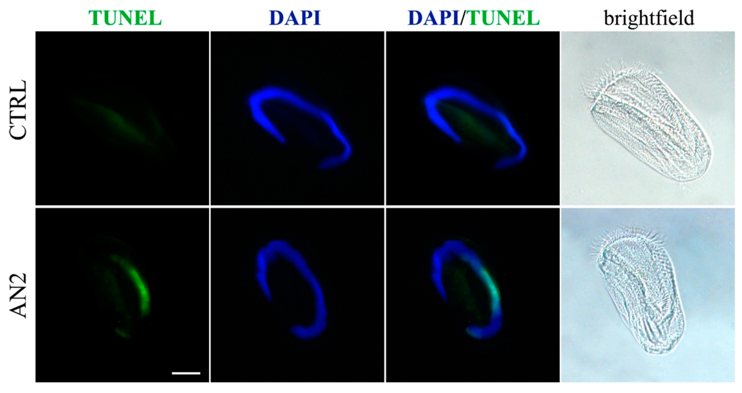 Toxins 11 00042 g011