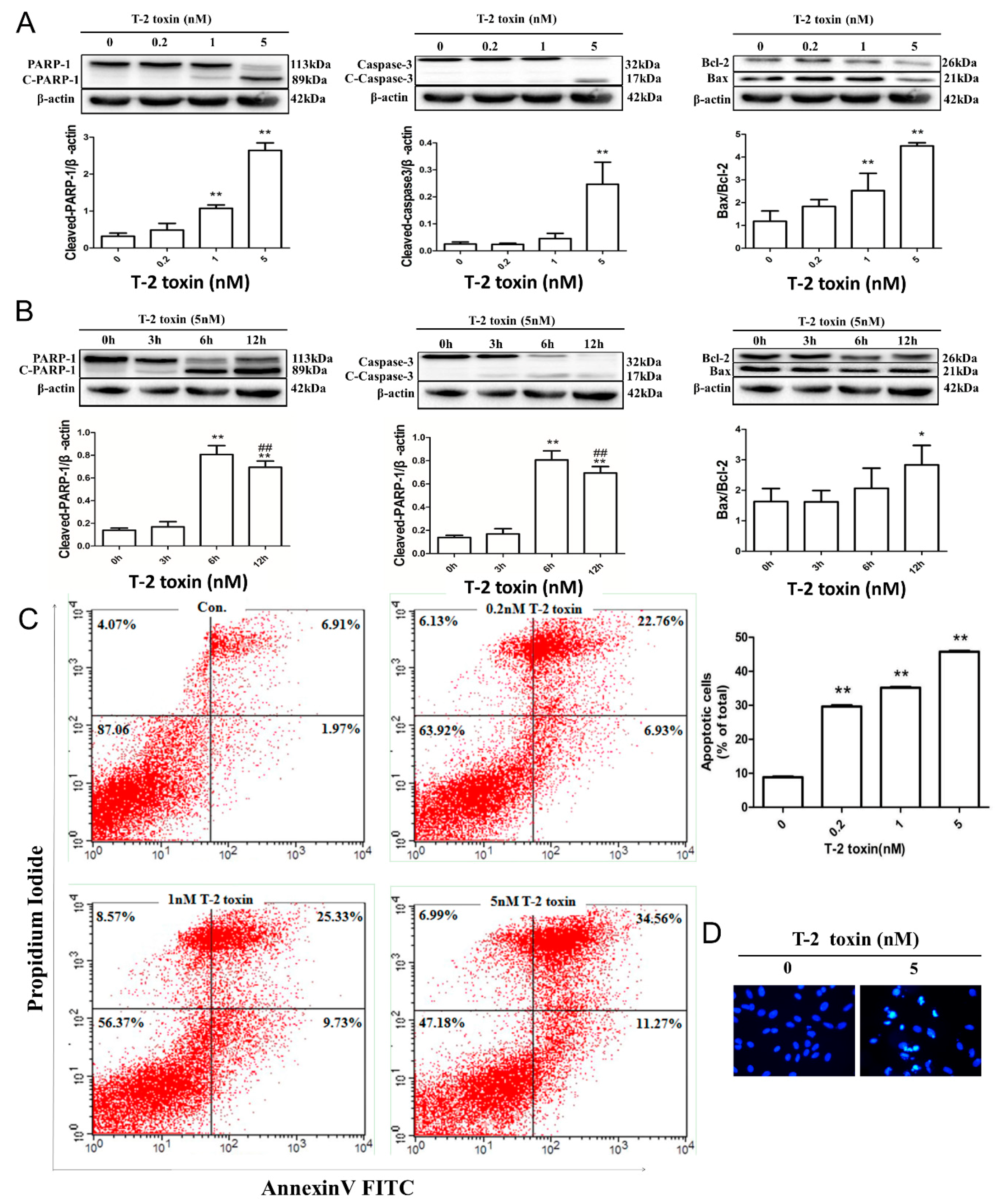 Toxins 11 00045 g002
