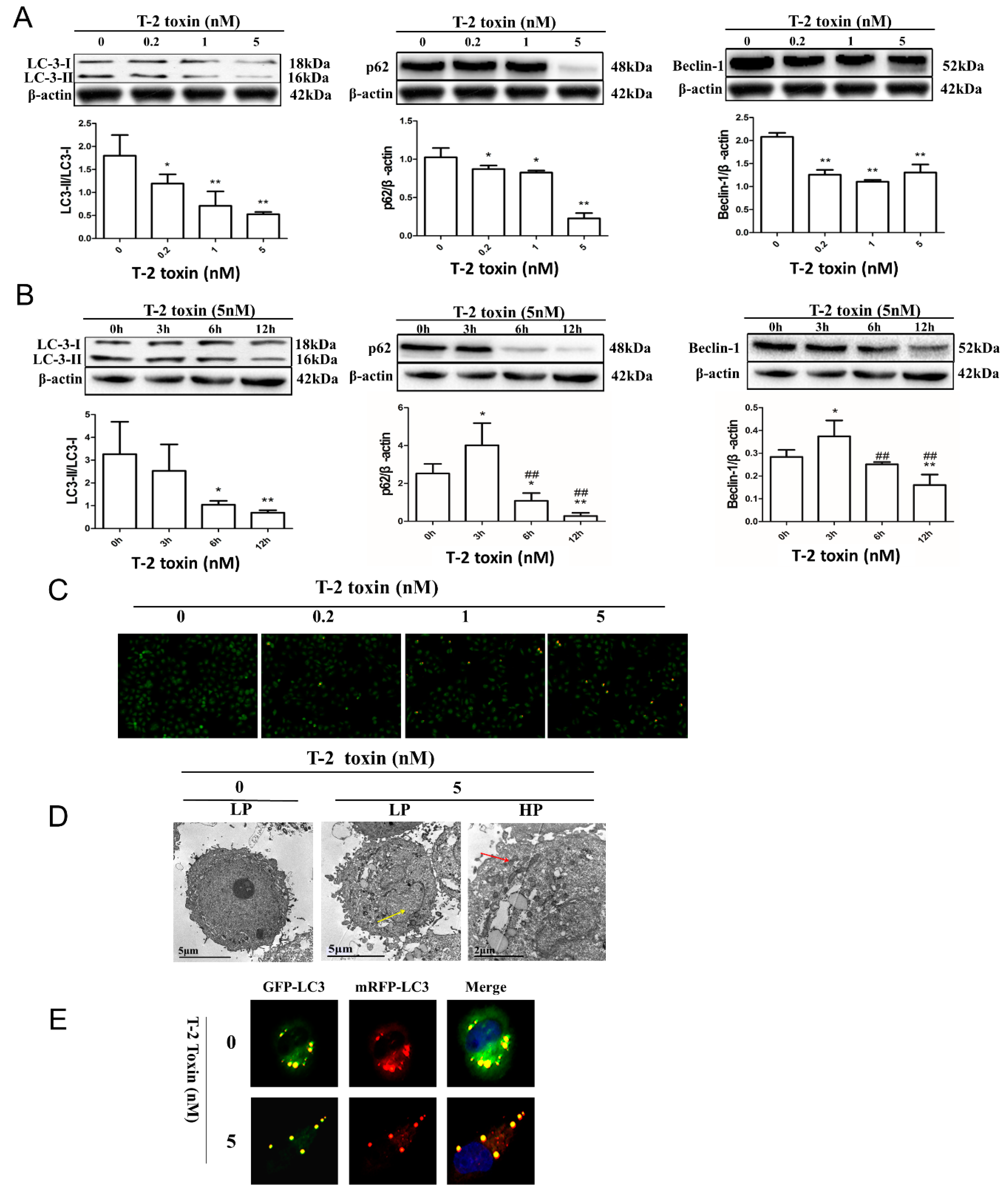 Toxins 11 00045 g003