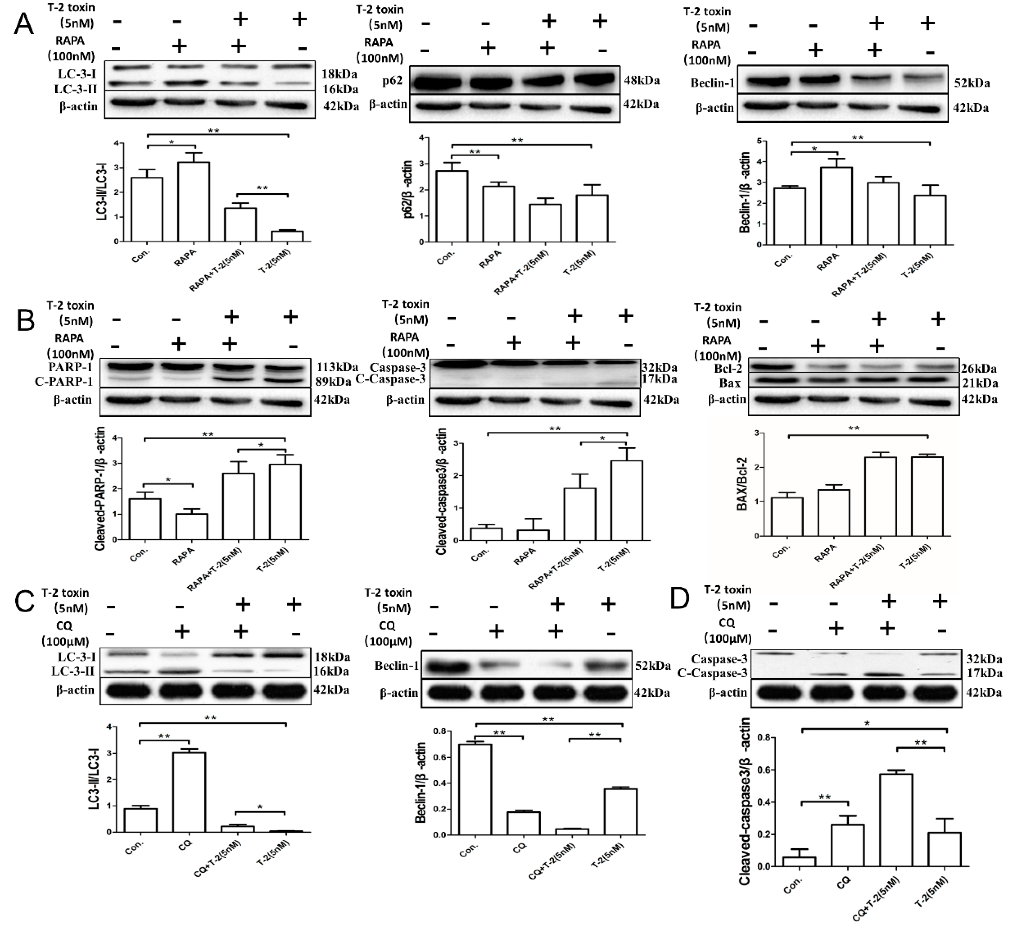 Toxins 11 00045 g004a