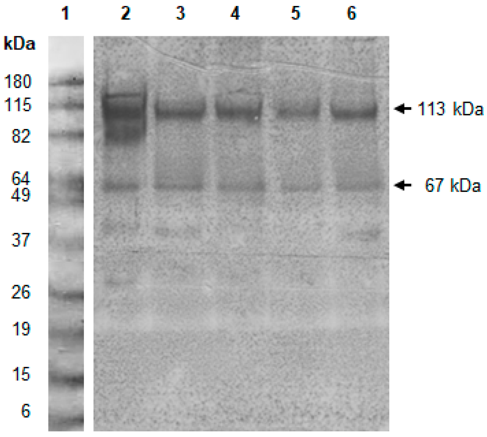 Toxins 11 00048 g001