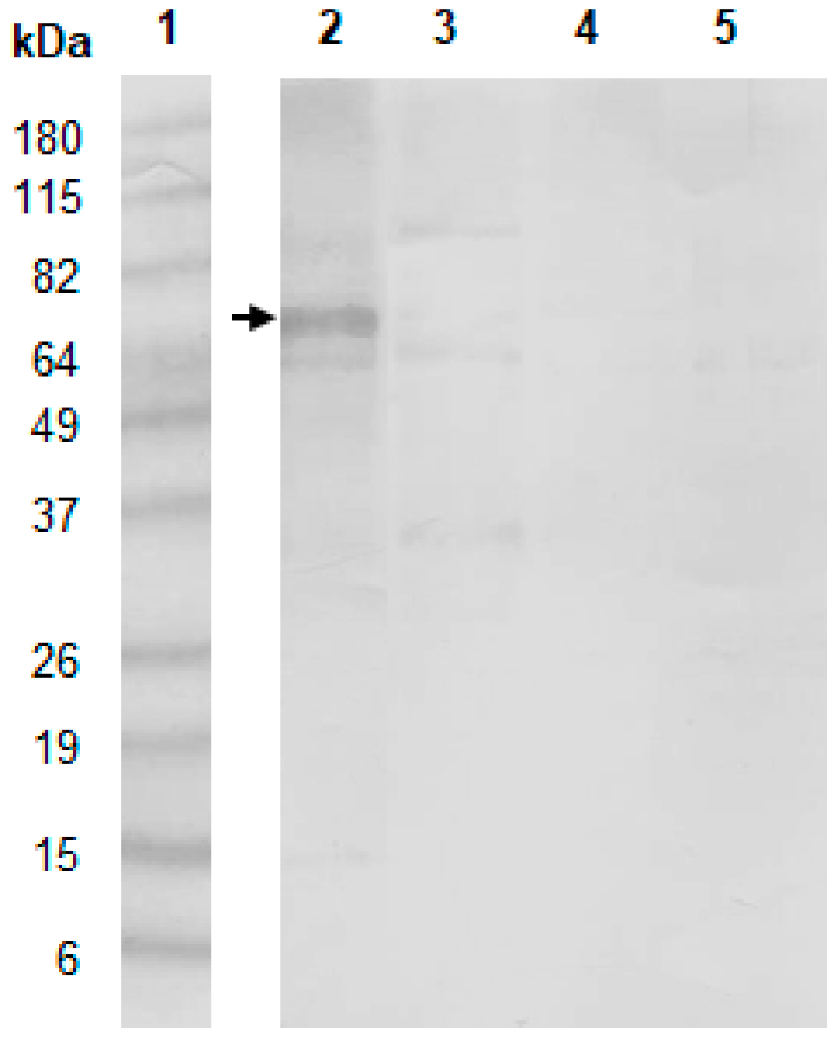 Toxins 11 00048 g002