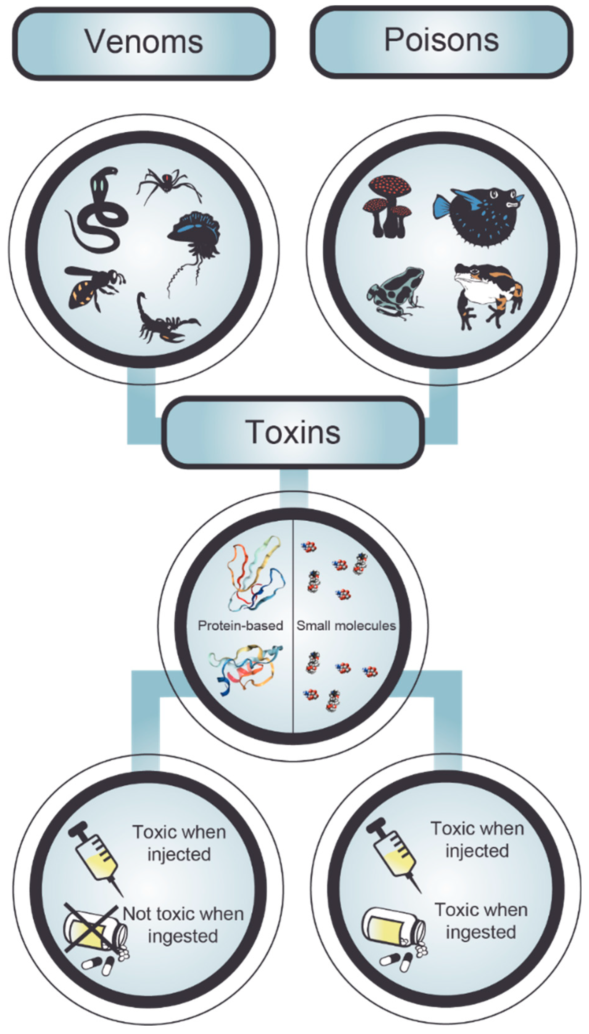 Toxins 11 00053 g002
