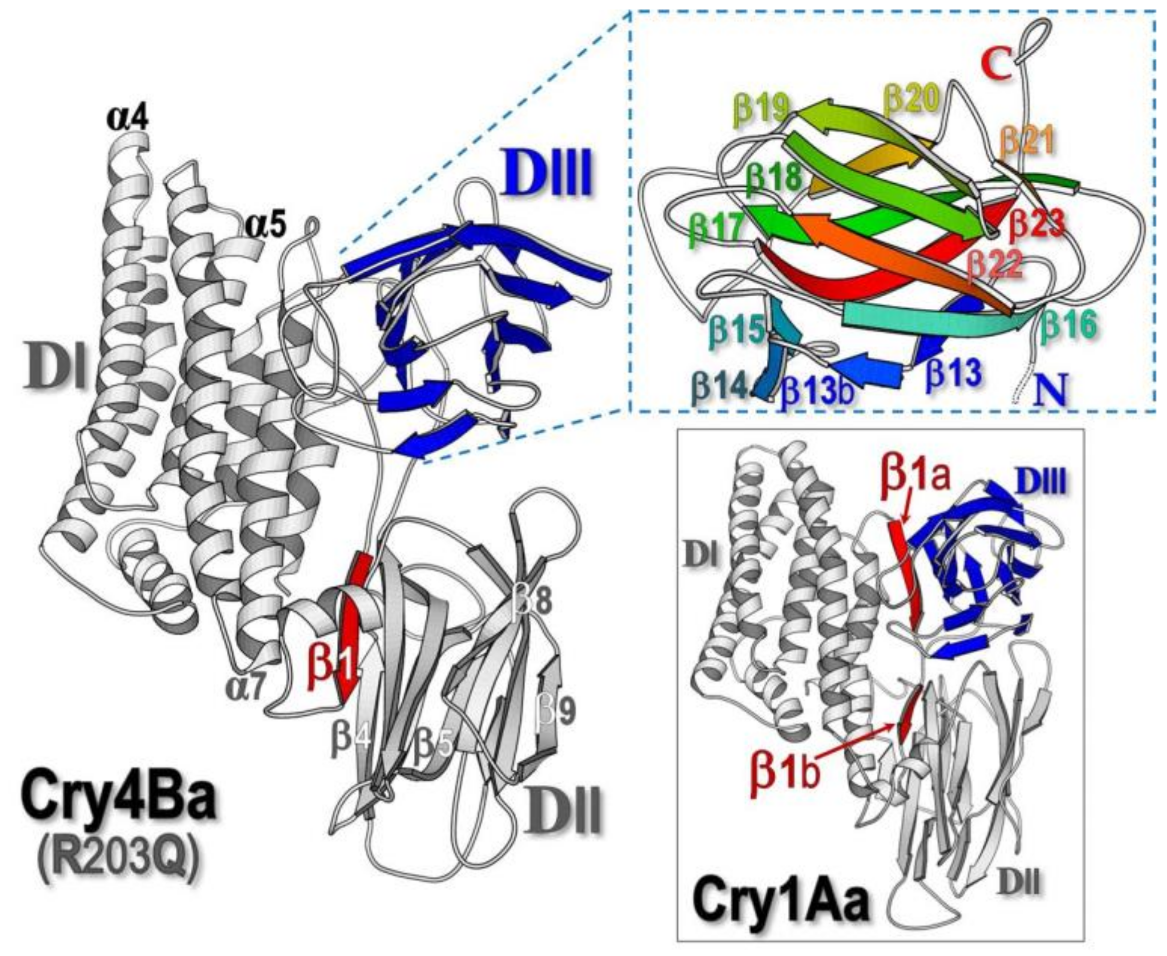 Toxins 11 00062 g001 Toxins 11 00062 g001
