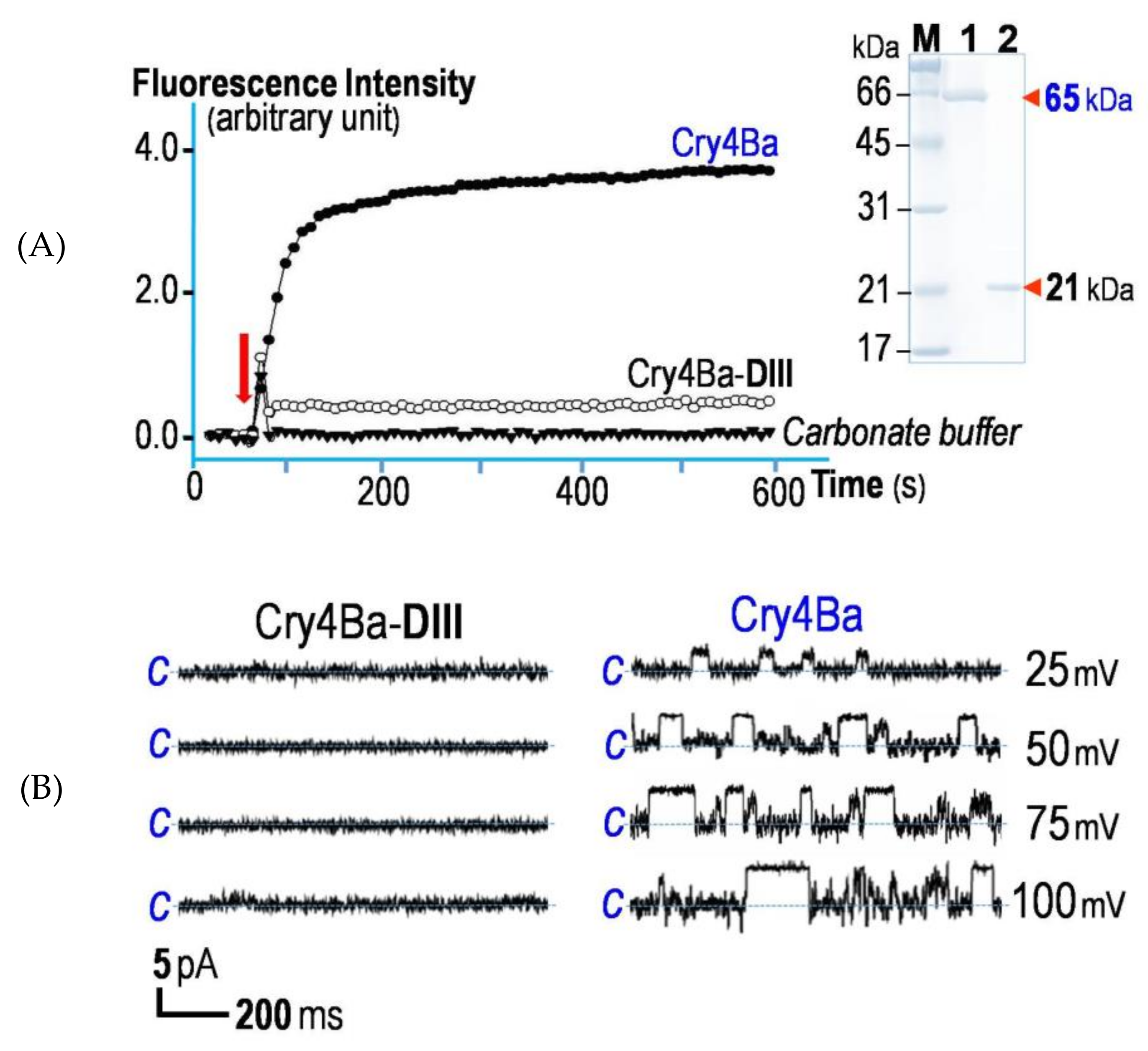 Toxins 11 00062 g005 Toxins 11 00062 g005