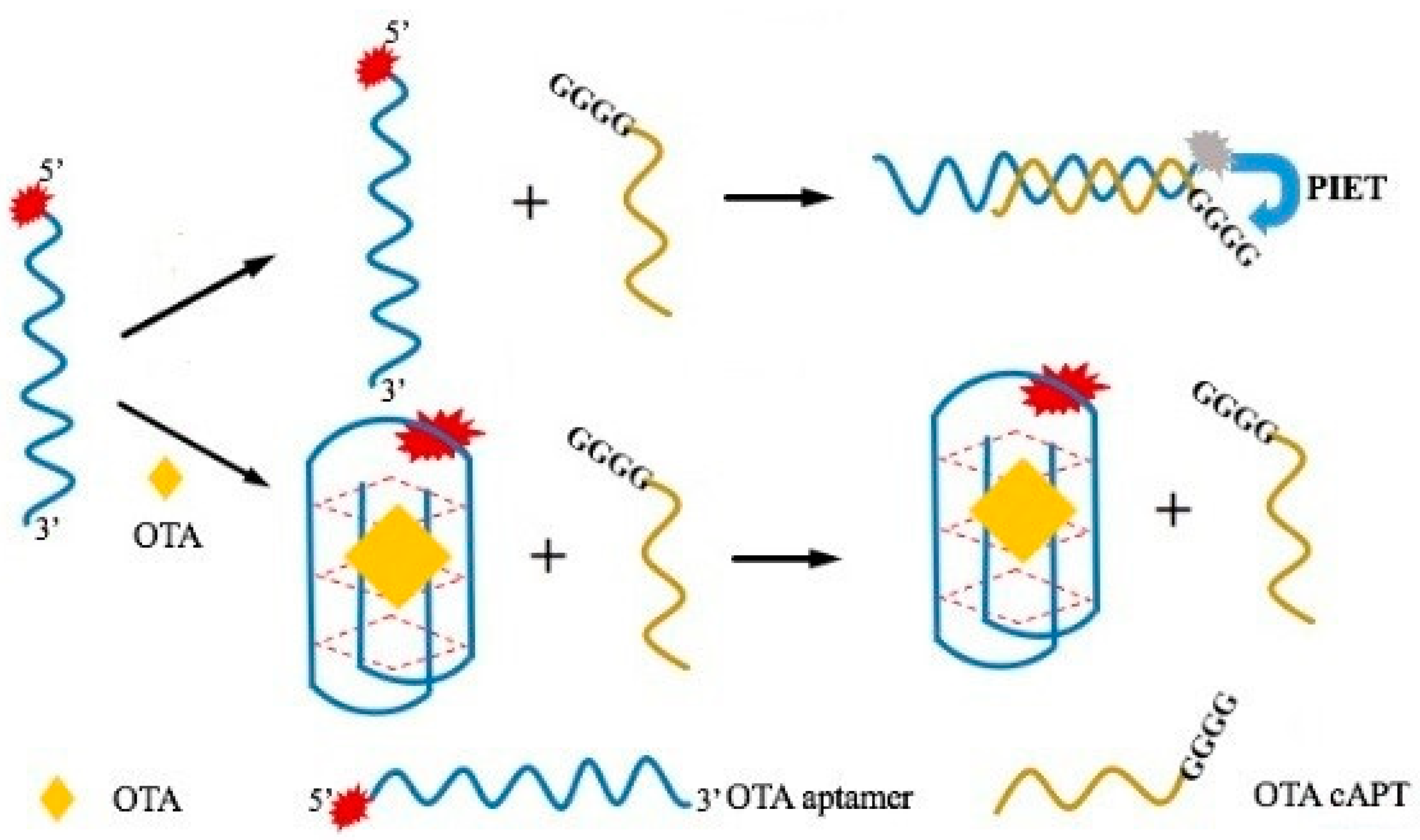 Toxins 11 00065 sch001 Toxins 11 00065 sch001