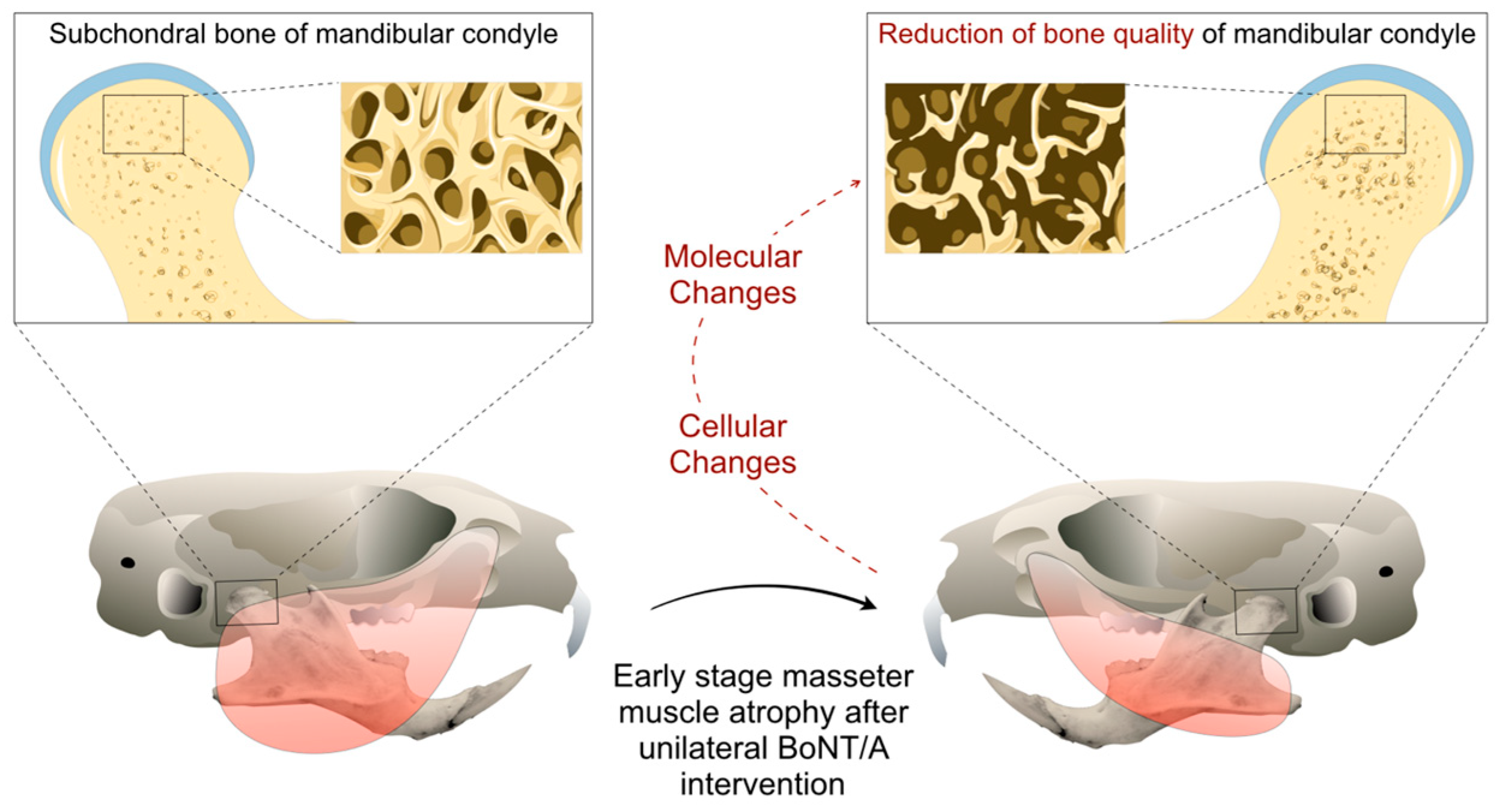 Toxins 11 00084 g002