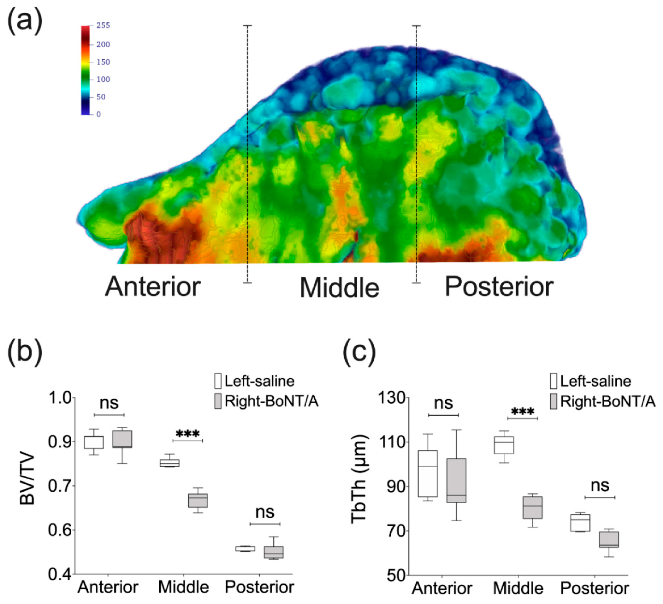 Toxins 11 00084 g004