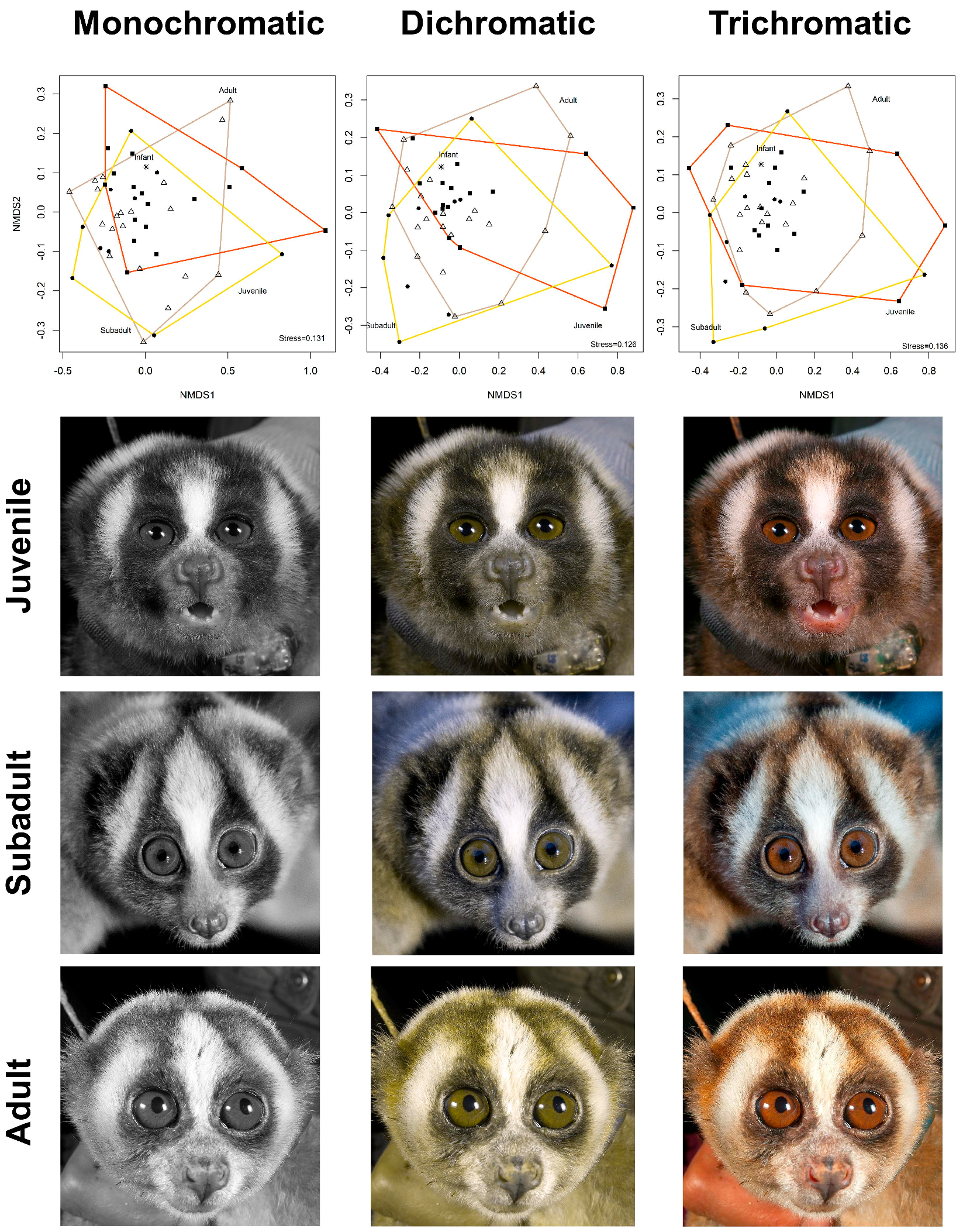 Toxins 11 00093 g001
