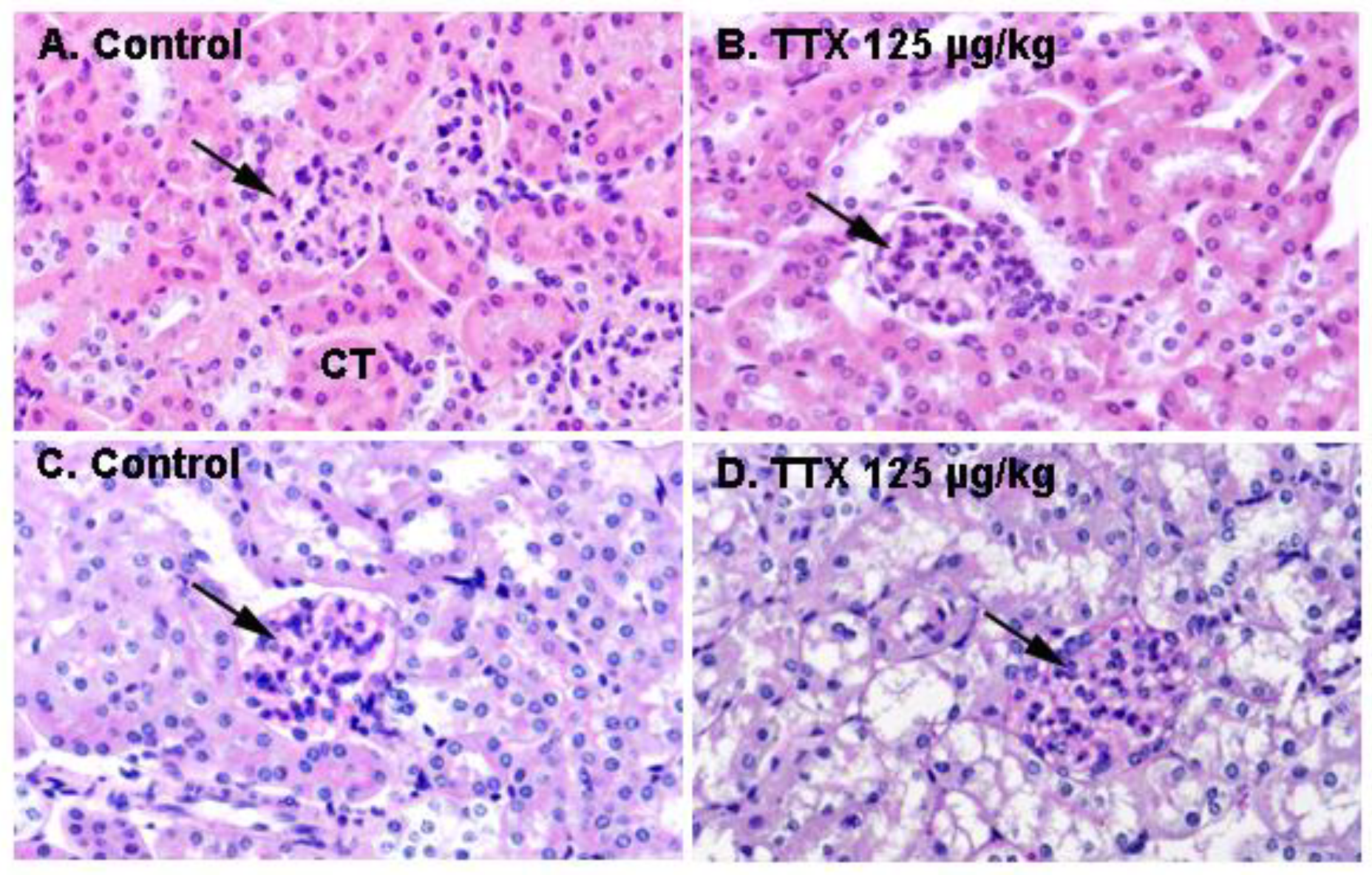 Toxins 11 00096 g004