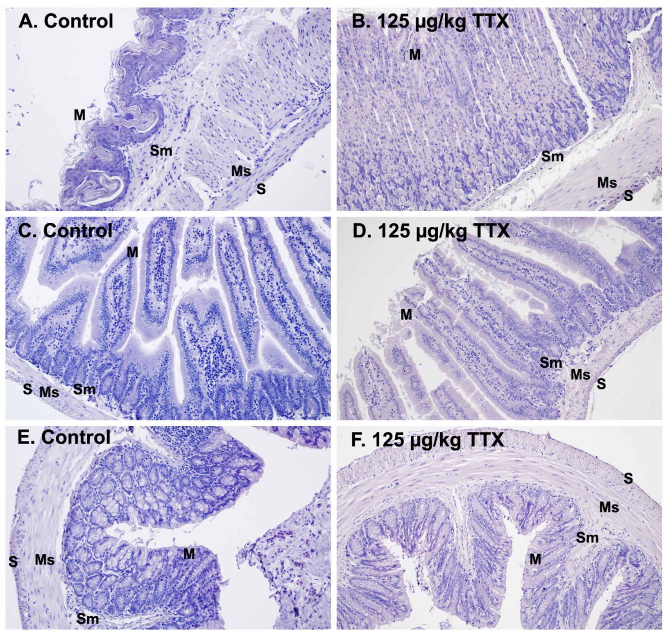 Toxins 11 00096 g005