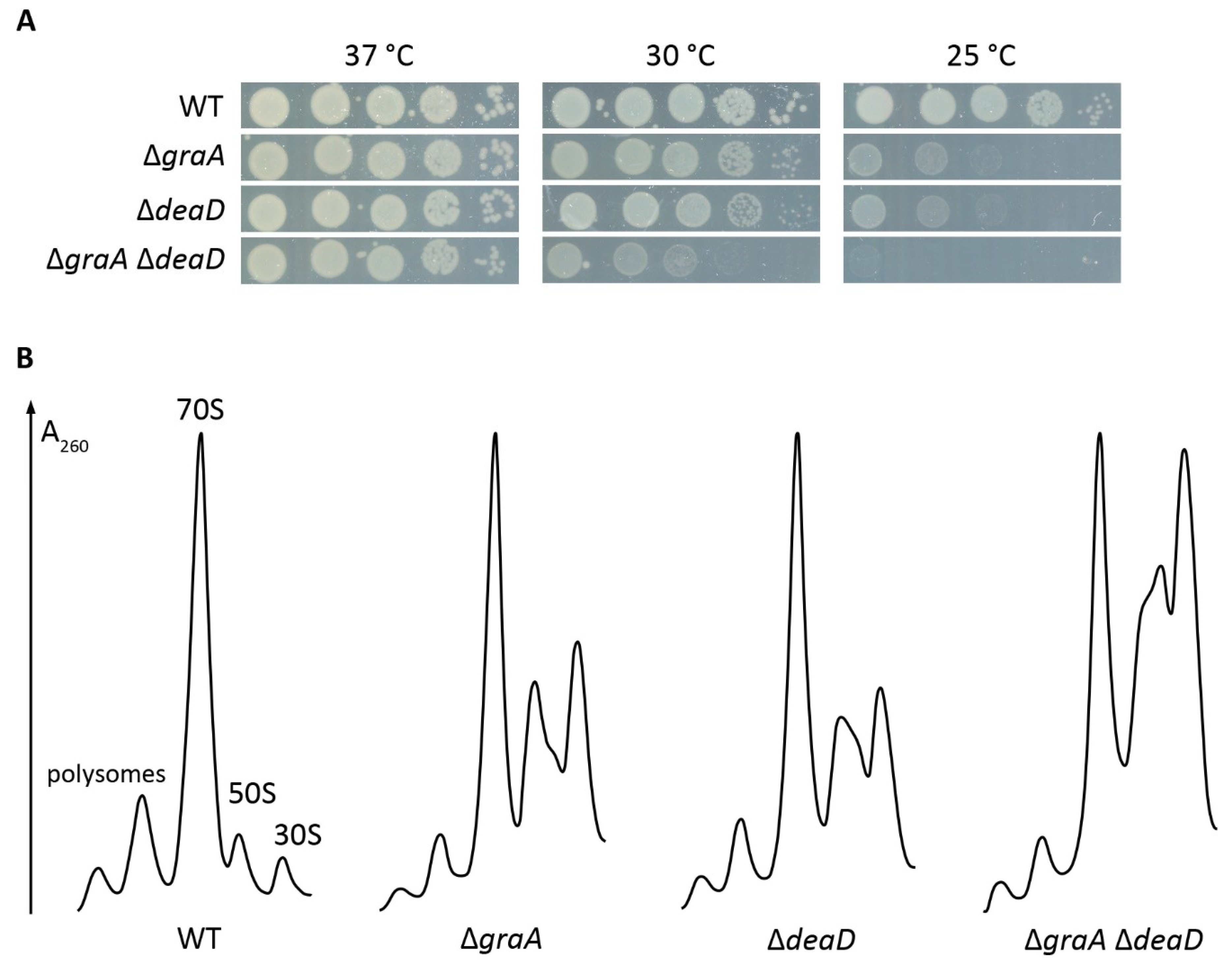 Toxins 11 00103 g002