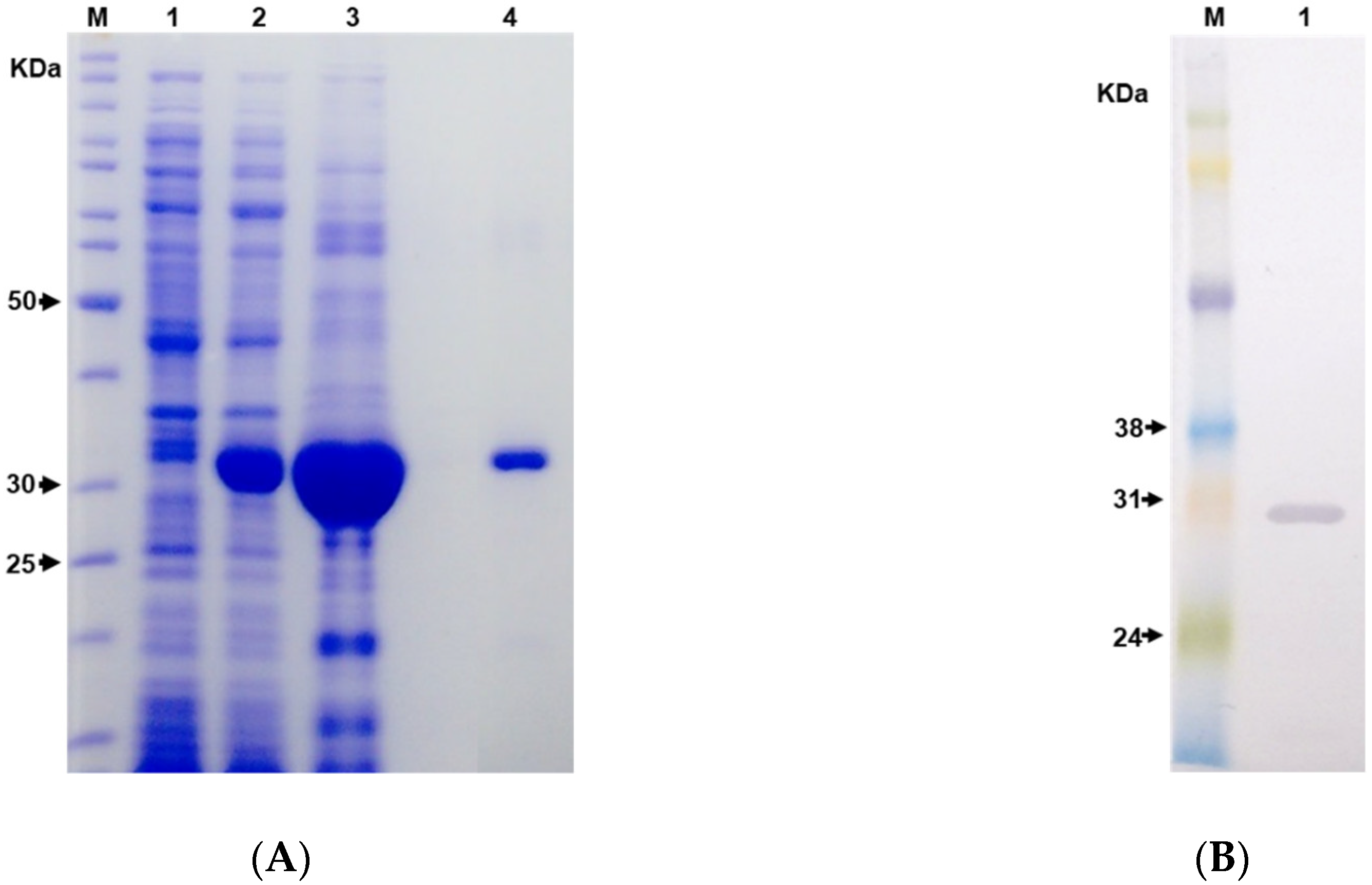 Toxins 11 00108 g003