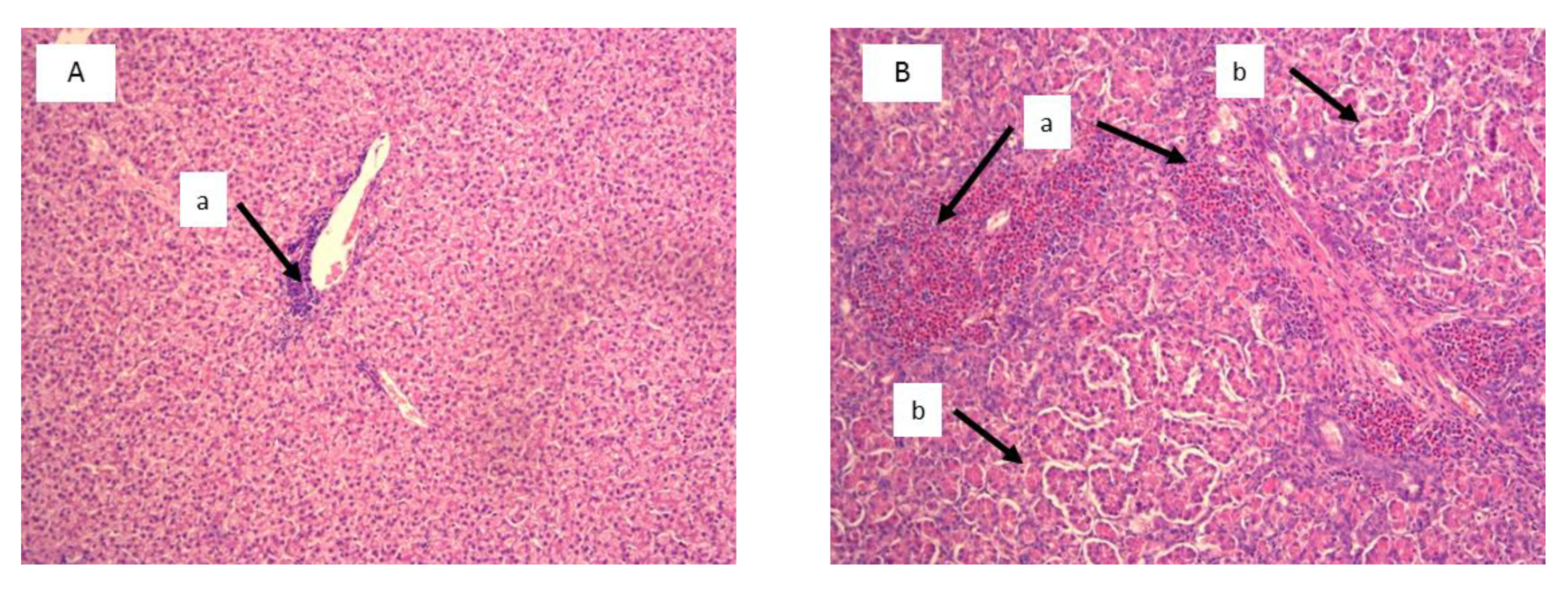 Toxins 11 00112 g002