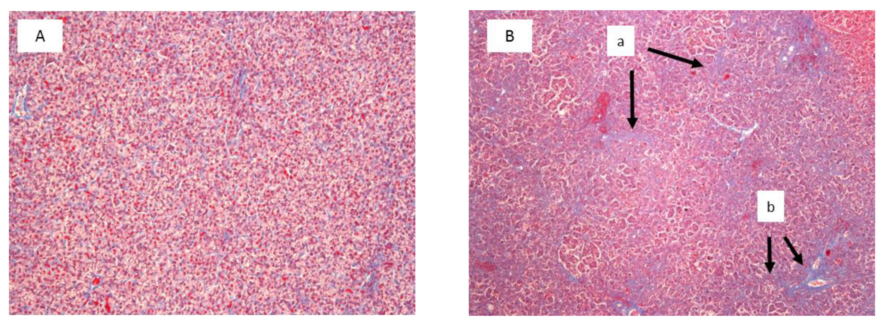 Toxins 11 00112 g003