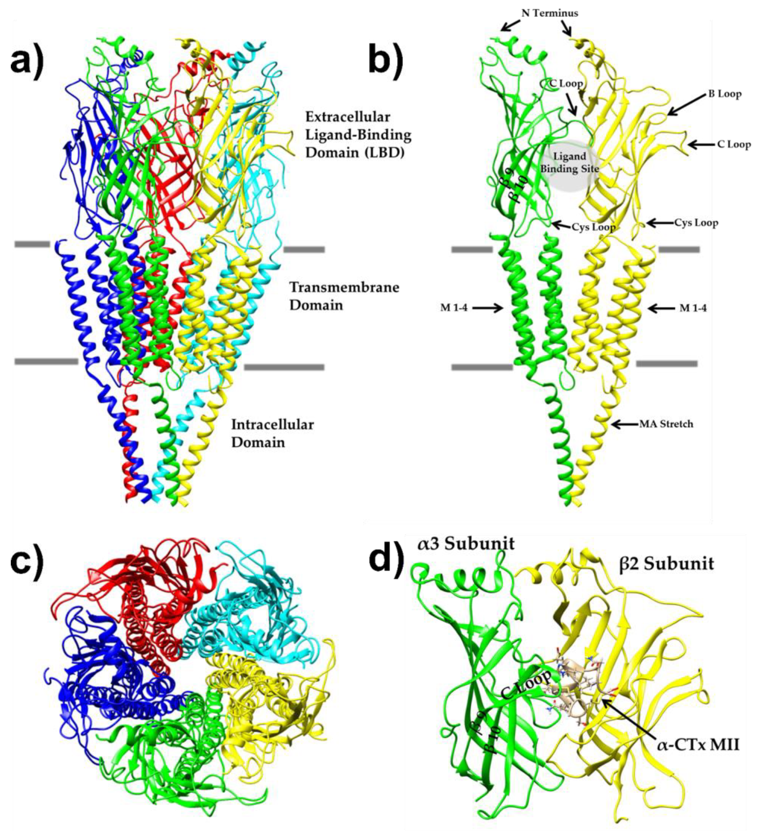Toxins 11 00113 g001