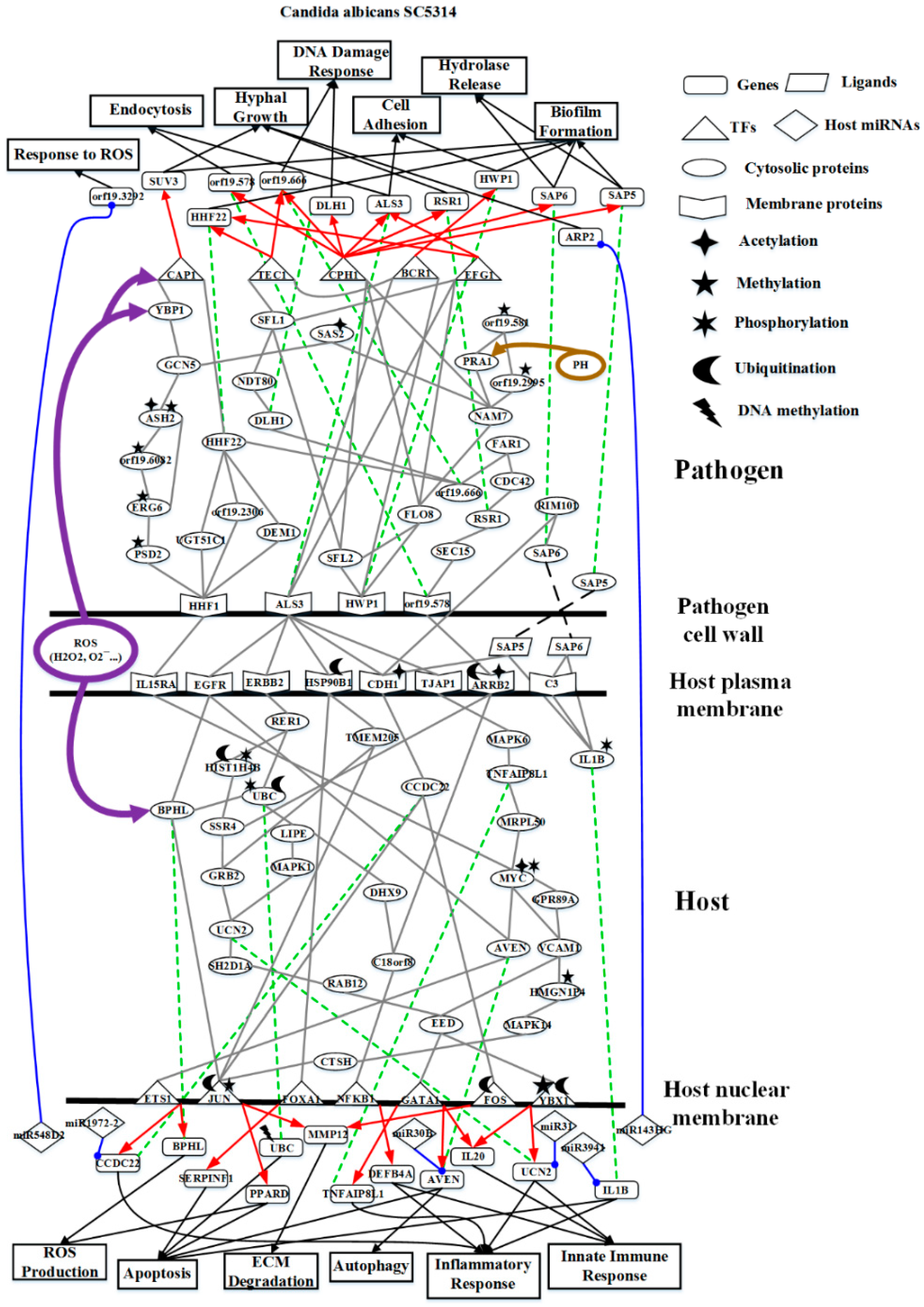 Toxins 11 00119 g001
