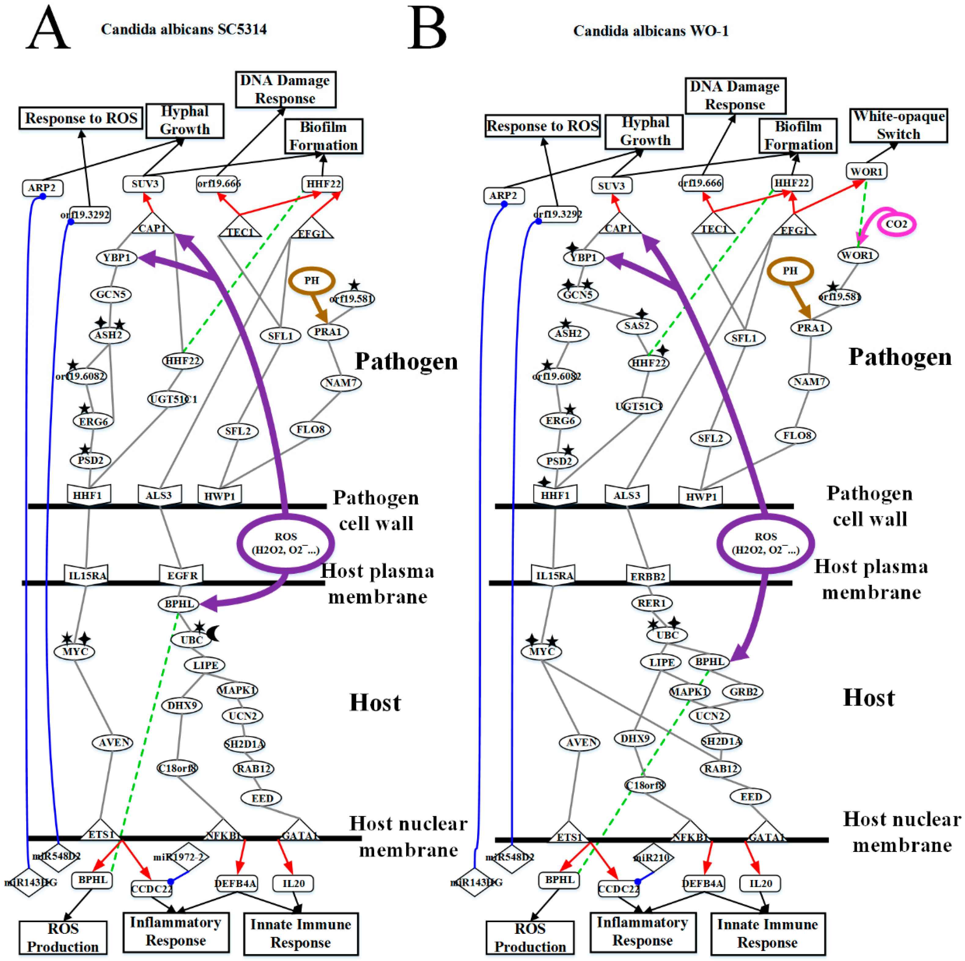 Toxins 11 00119 g004
