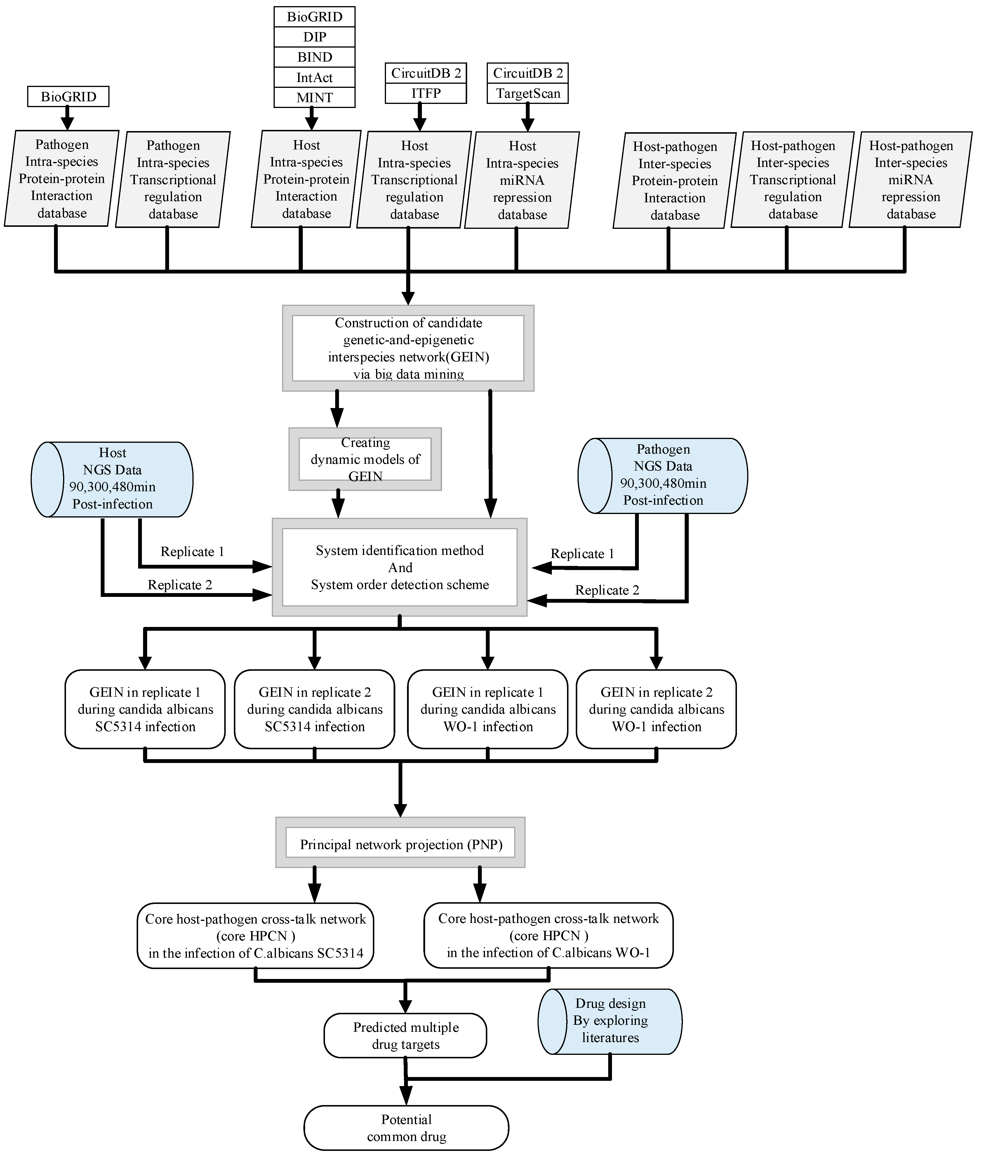 Pathogen Chart