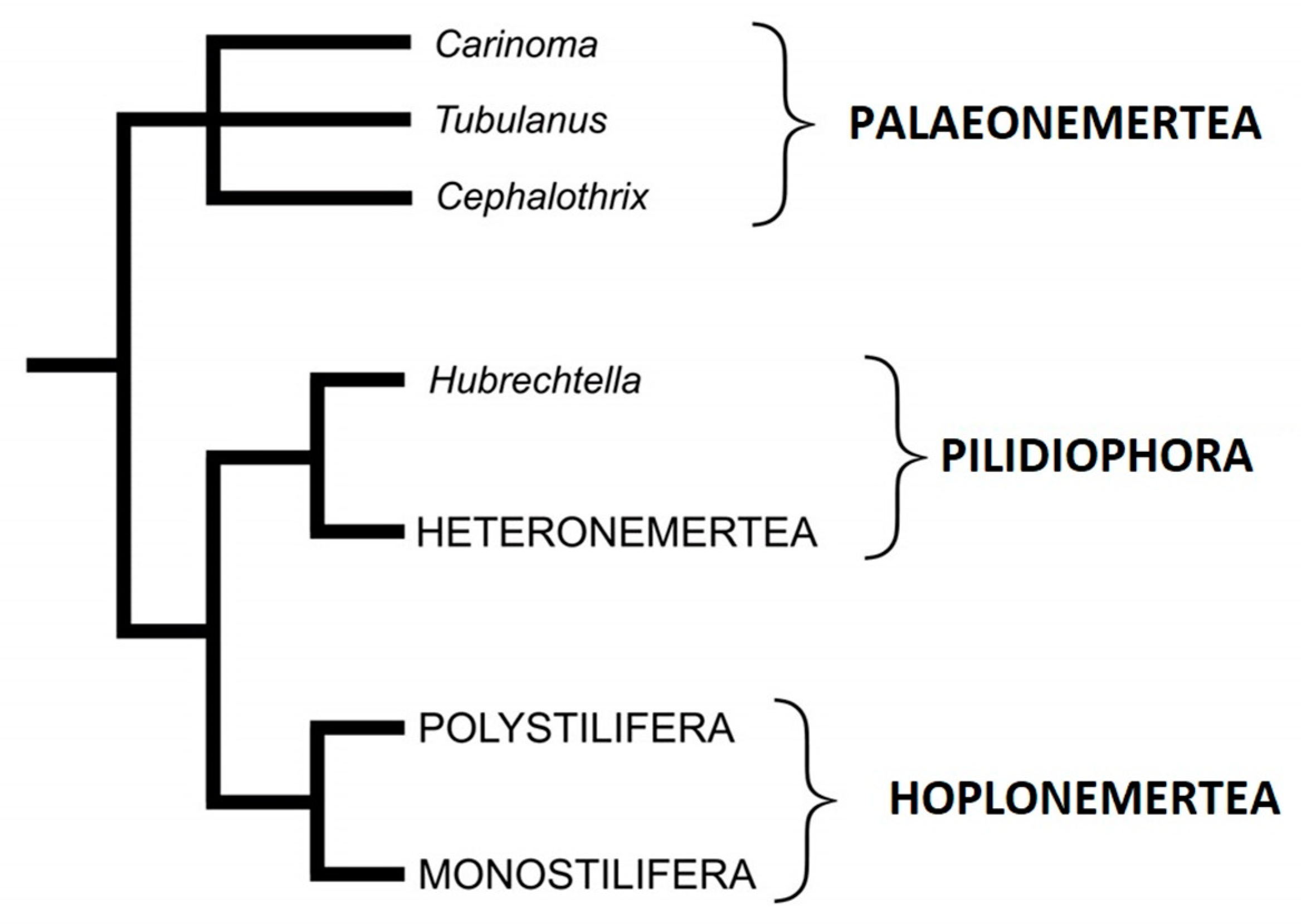 Toxins 11 00120 g002