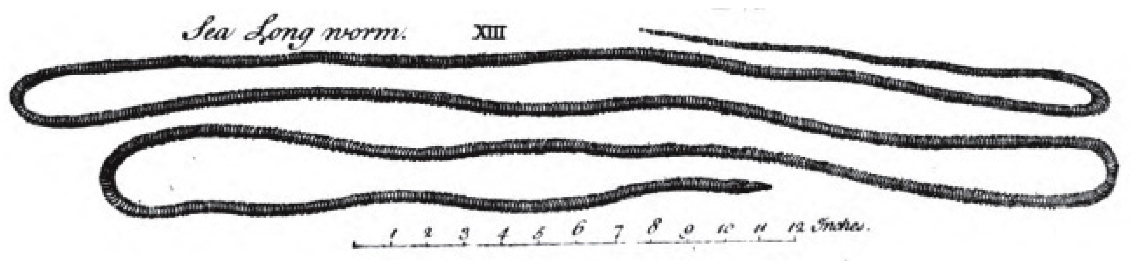 Toxins 11 00120 g004