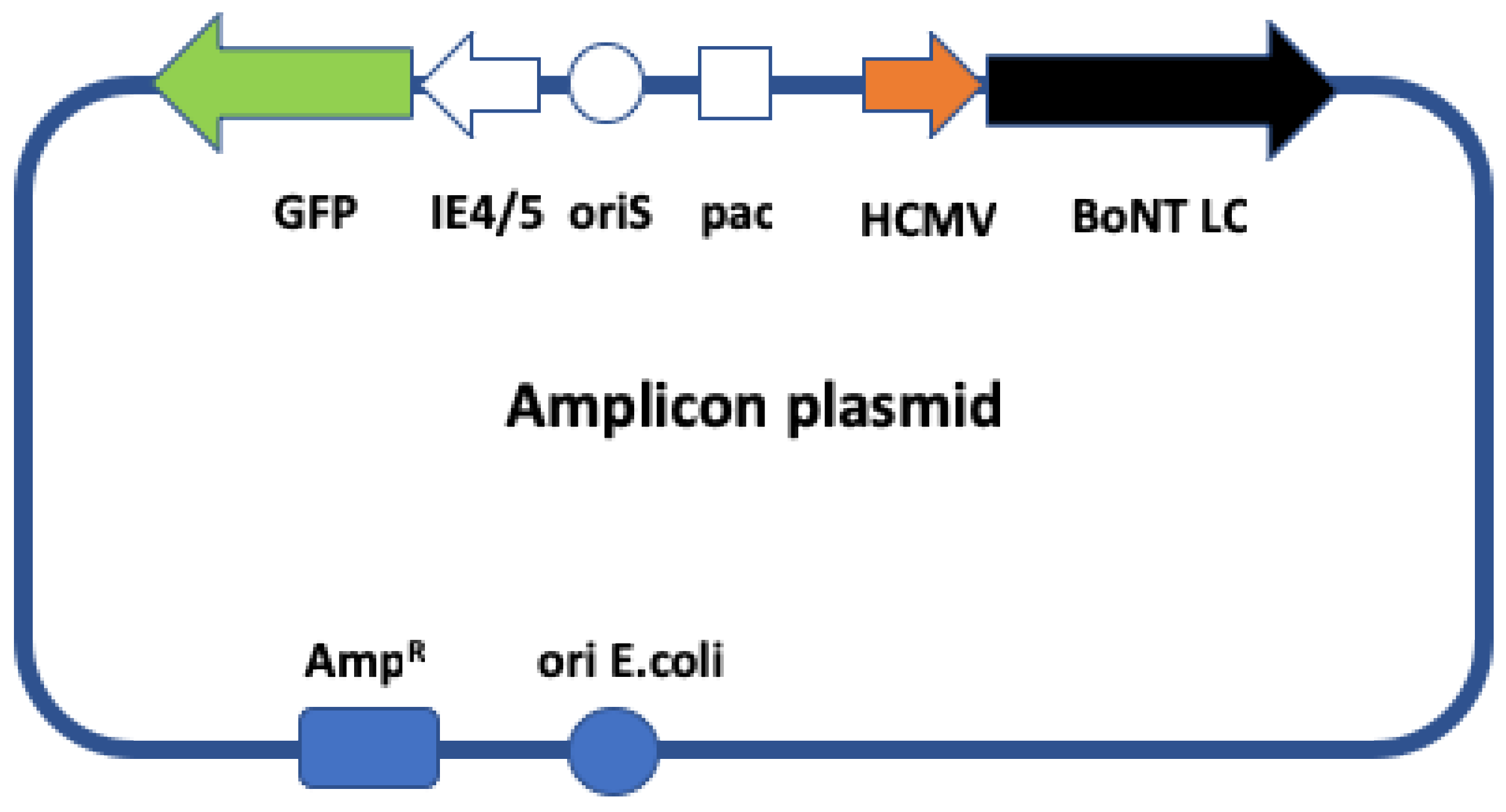 Toxins 11 00123 g001