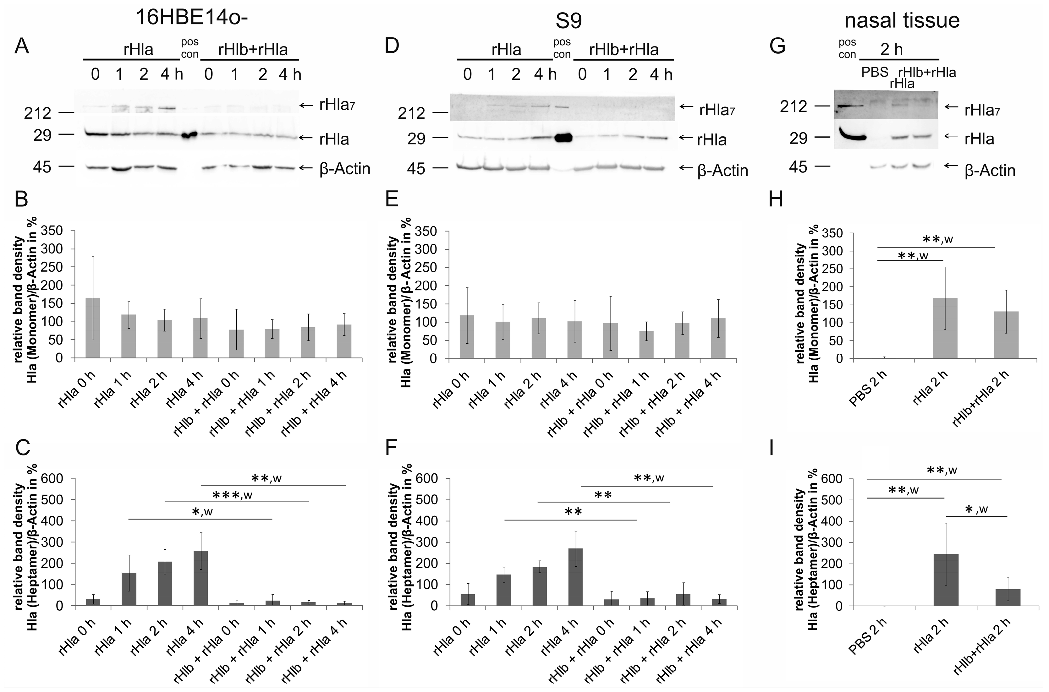 Toxins 11 00126 g001