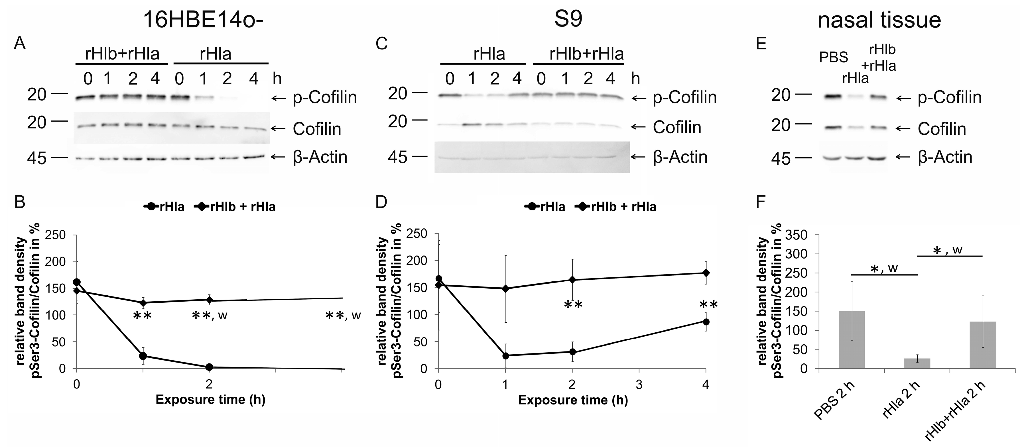 Toxins 11 00126 g004