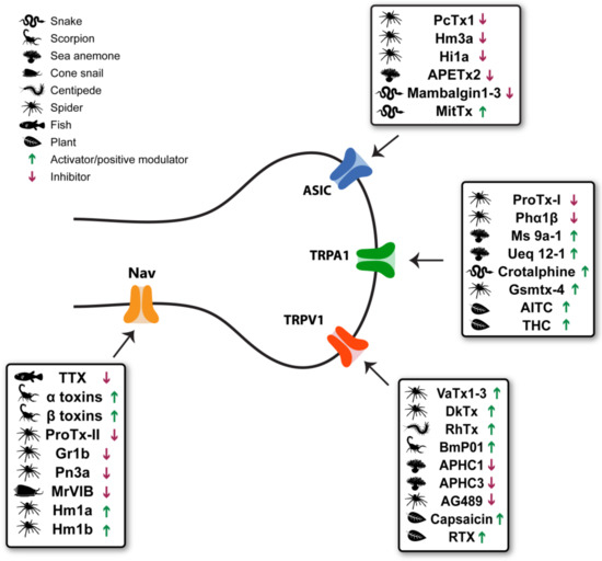 Toxins 11 00131 g001 550