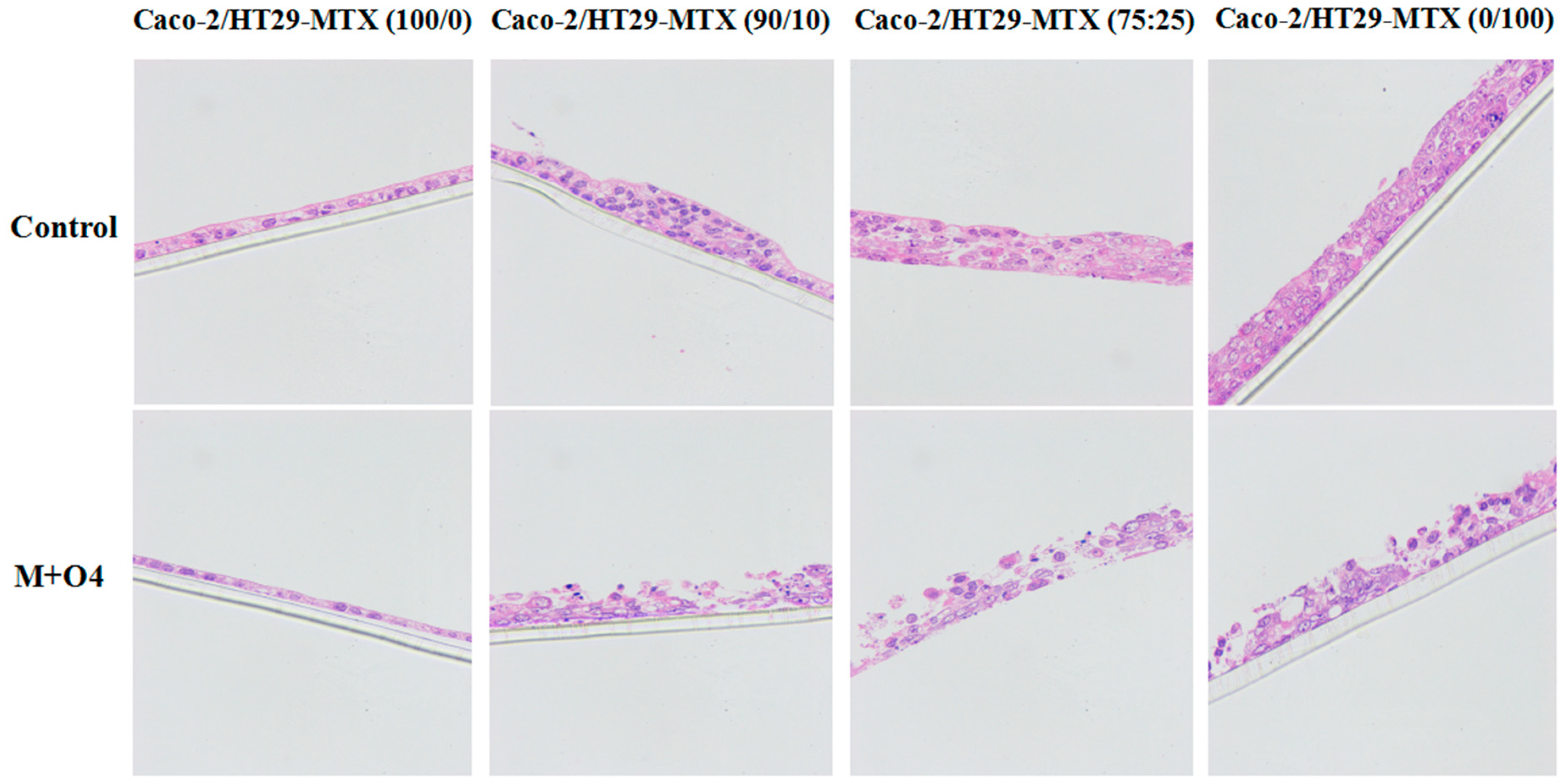 Toxins 11 00132 g002