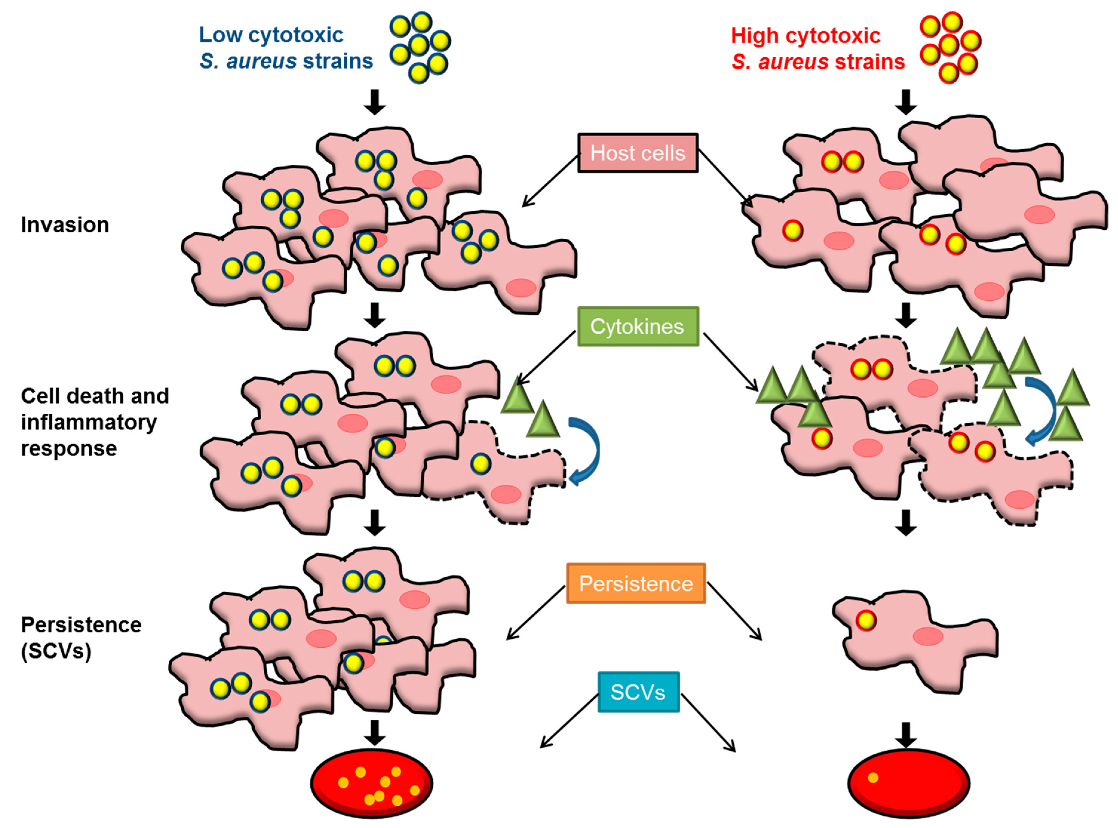 Toxins 11 00135 g006