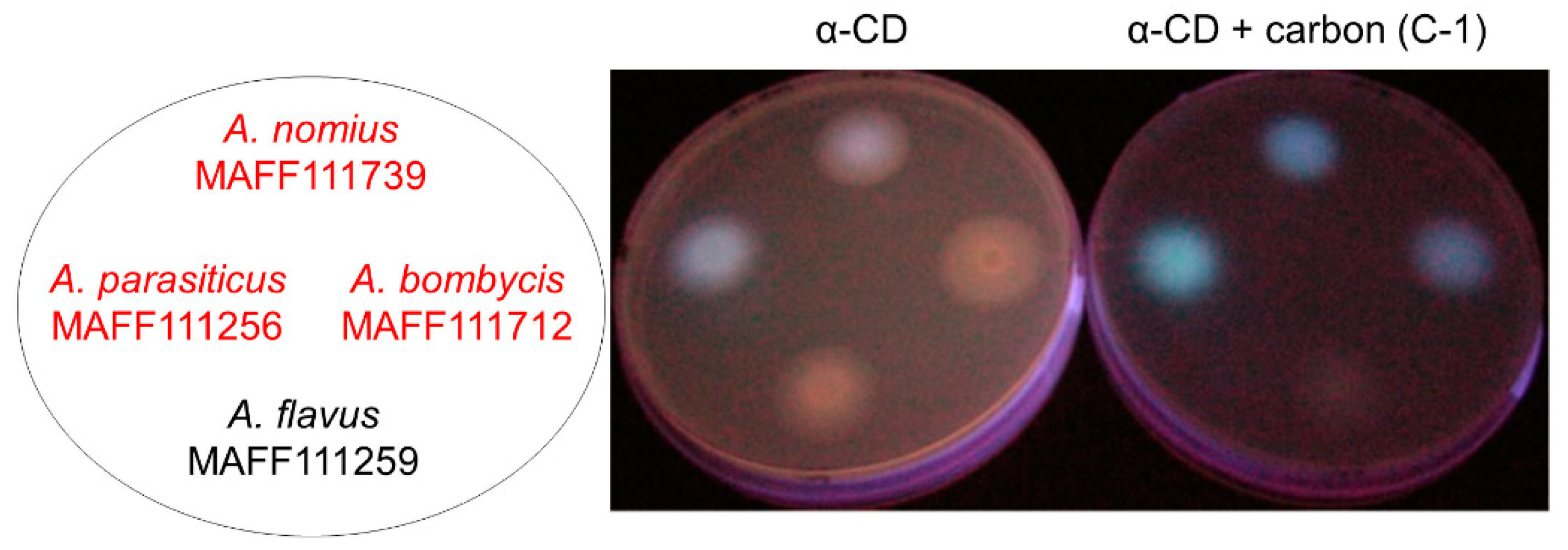 Toxins 11 00140 g001
