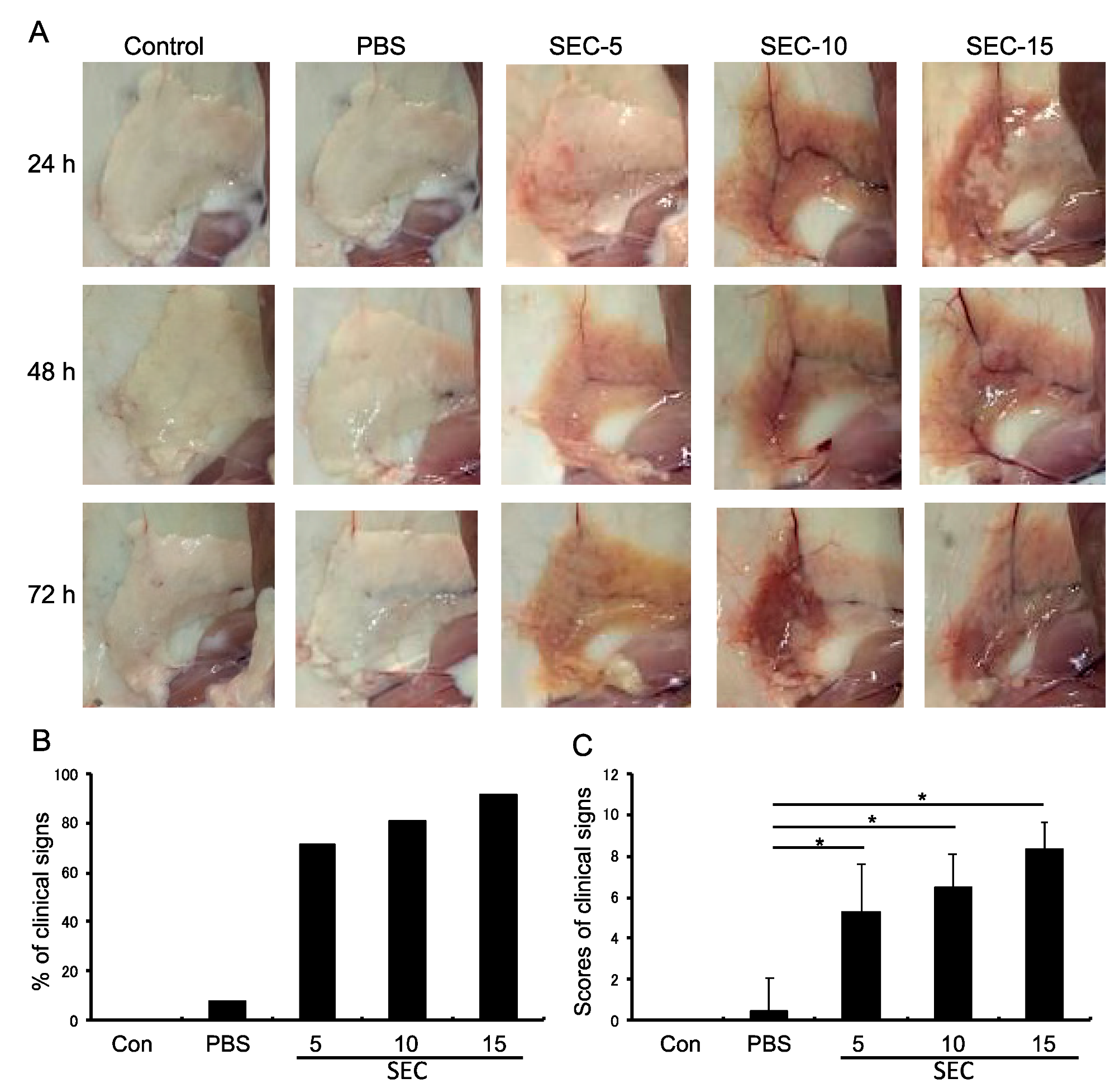 Toxins 11 00141 g002