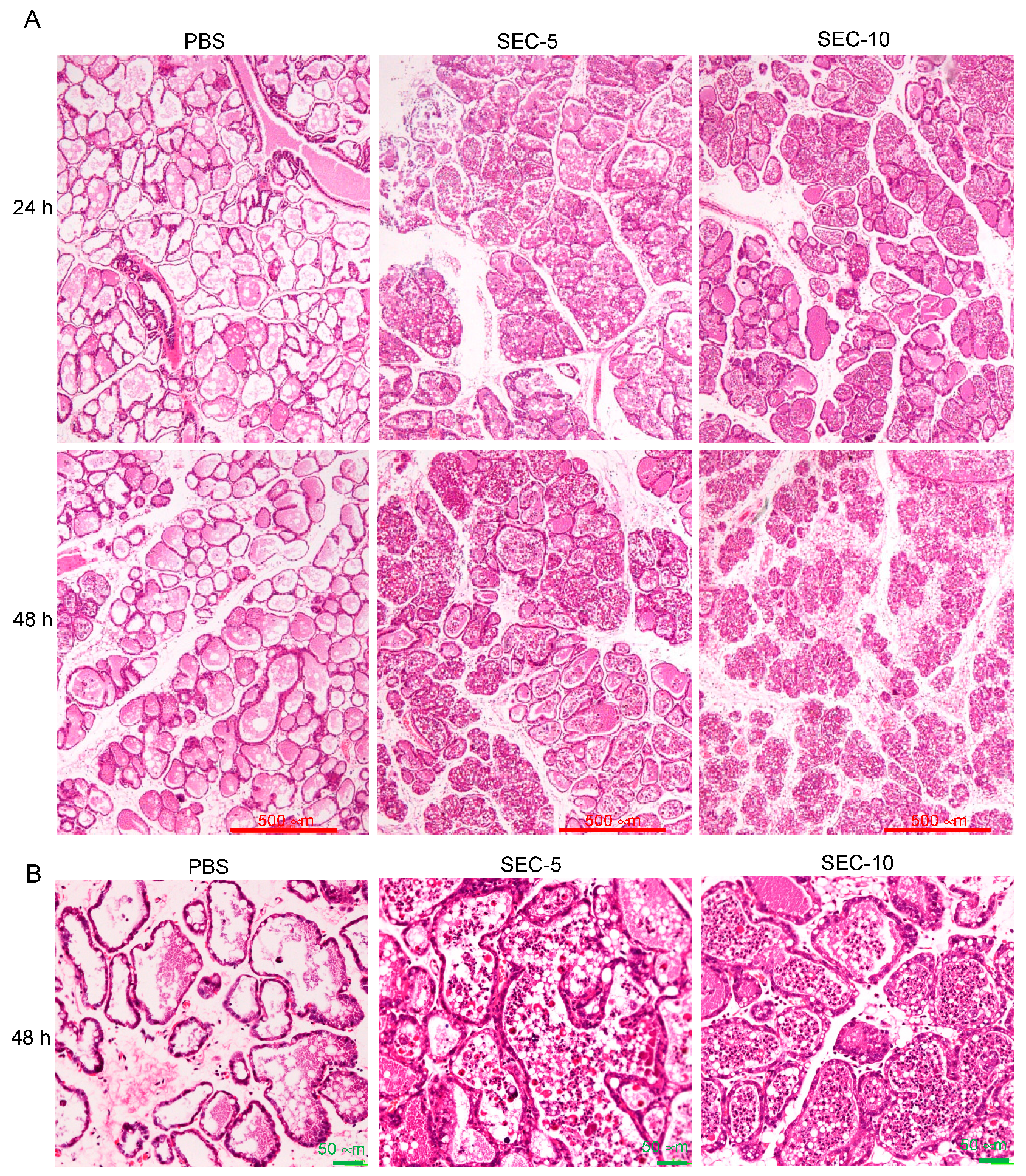Toxins 11 00141 g003