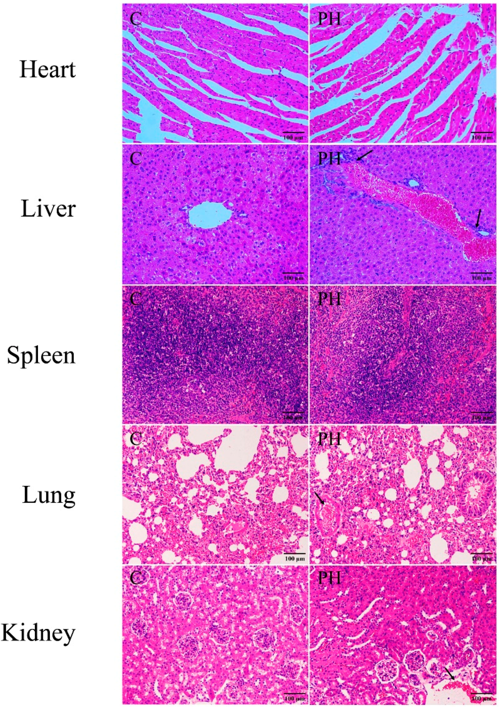 Toxins 11 00142 g002